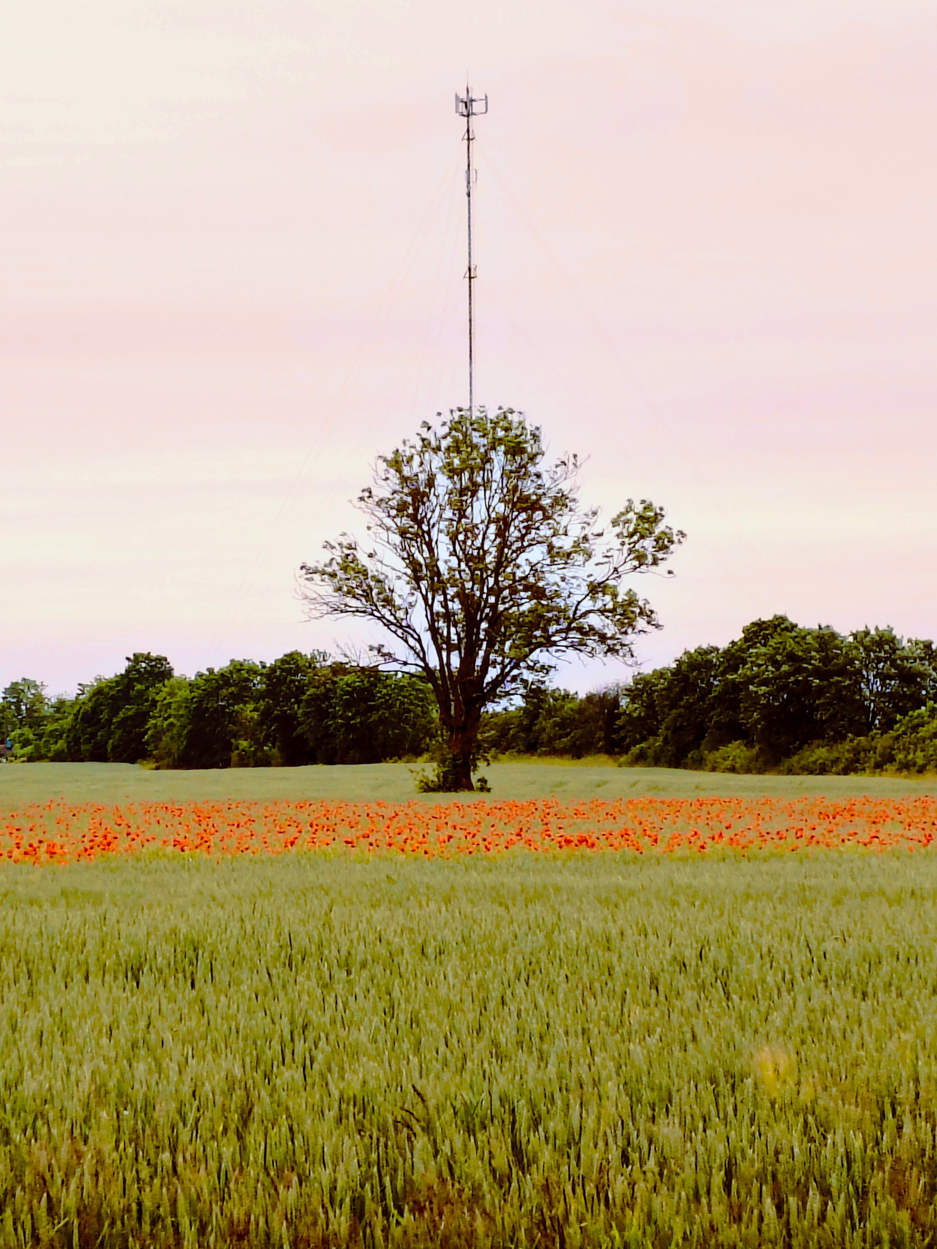 Saaremaa. Laimjala. Mägi- Kurdla küla