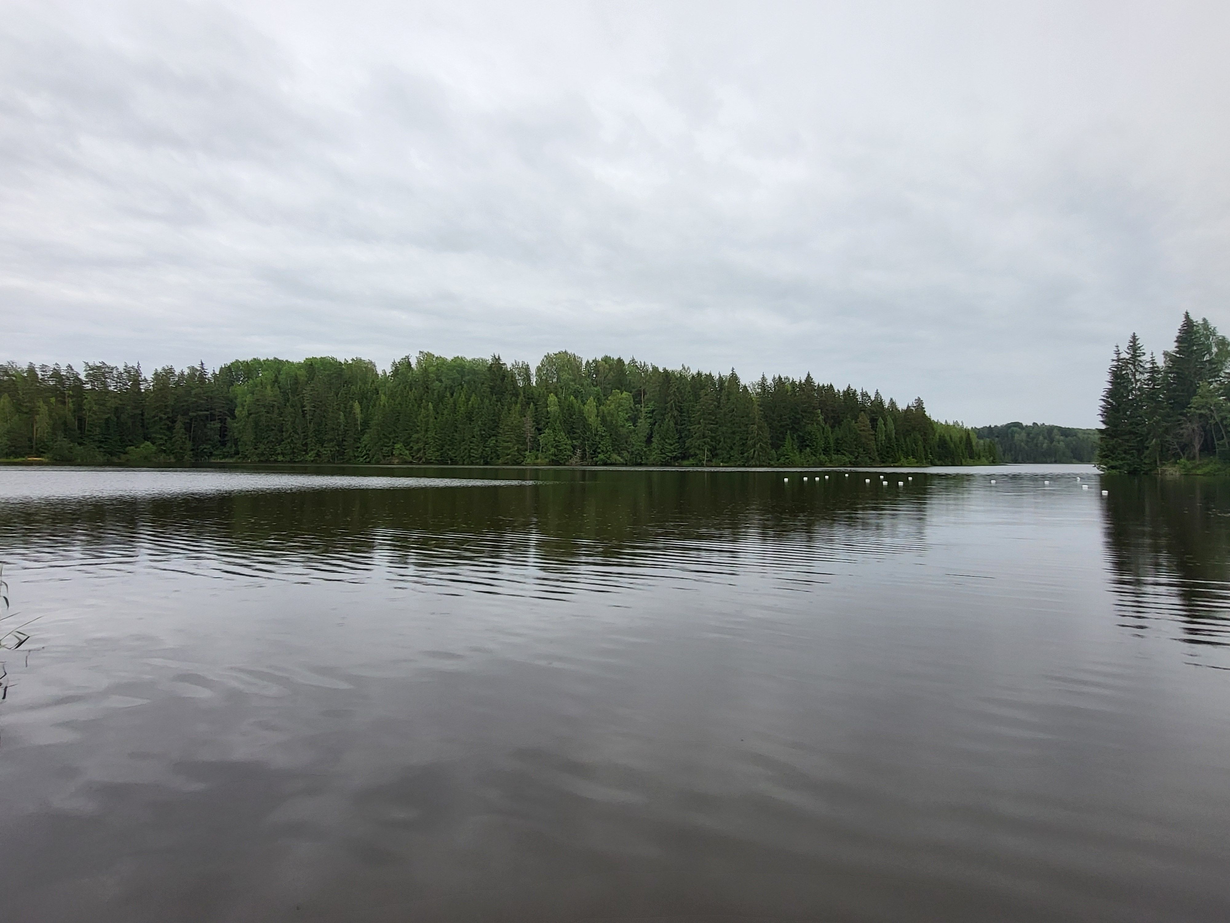 Obinitsa kaunis järve vaade