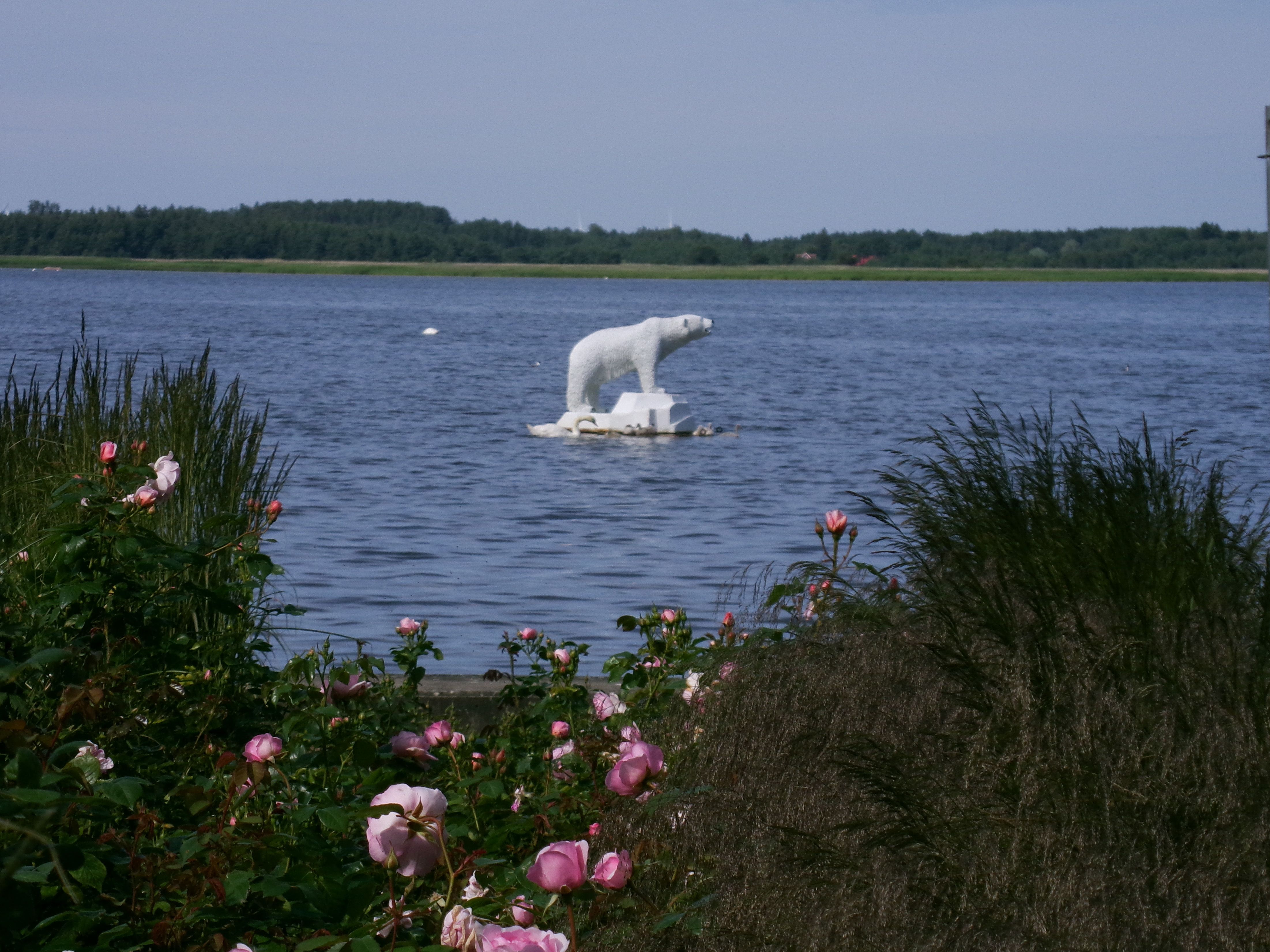 Jääkaru 2. juulil 2025 Haapsalu promenaadil.