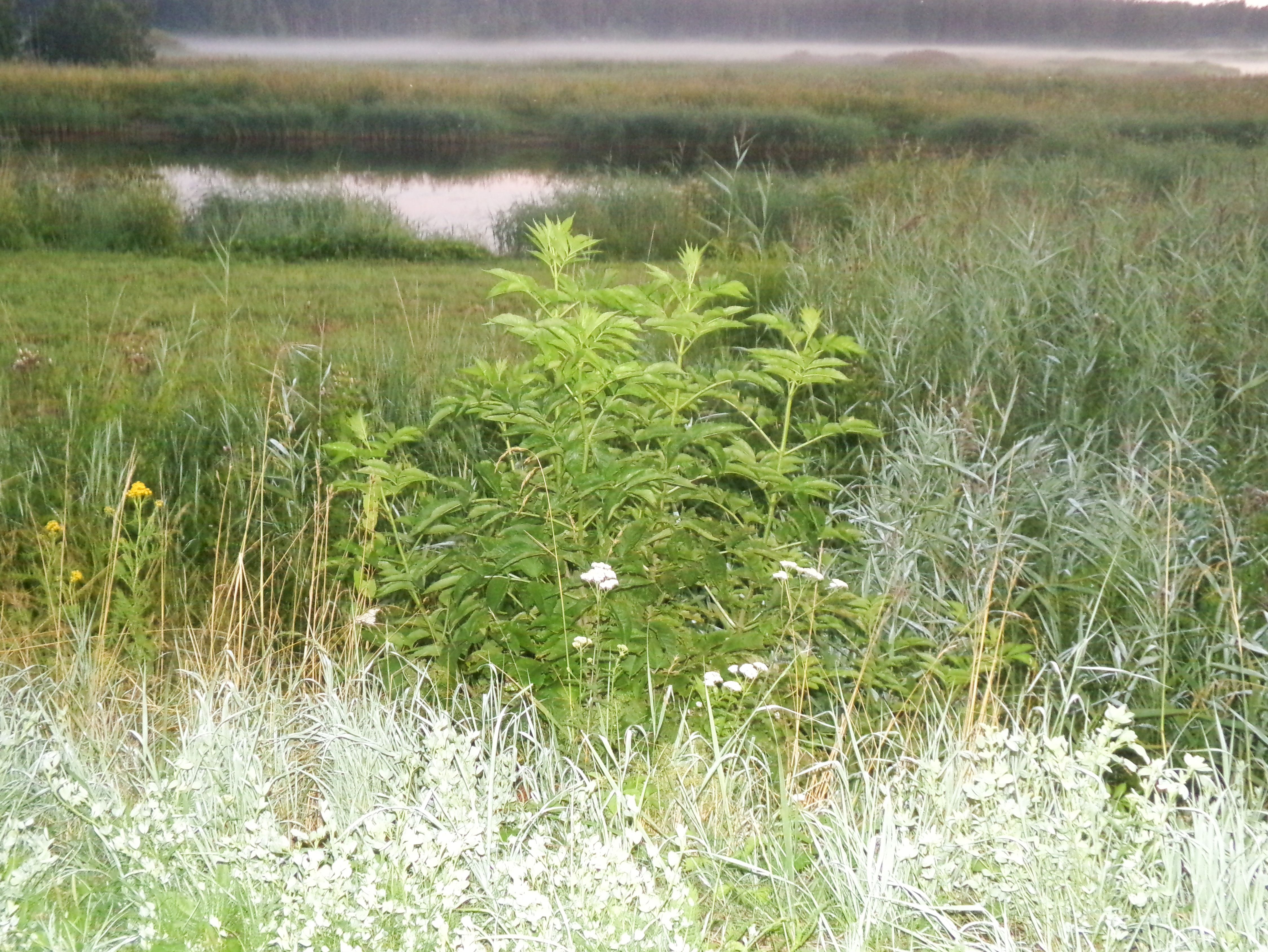 Udune päikeseloojang Haapsalus 27.07.2025.