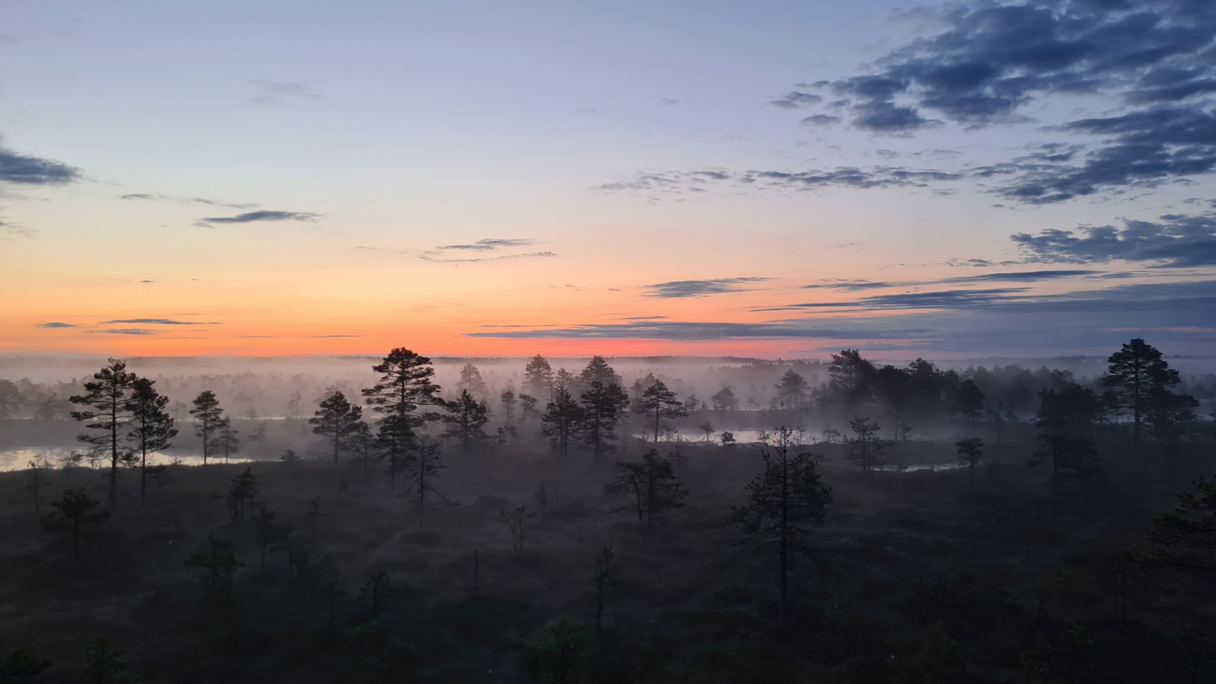 Päikesetõus rabas