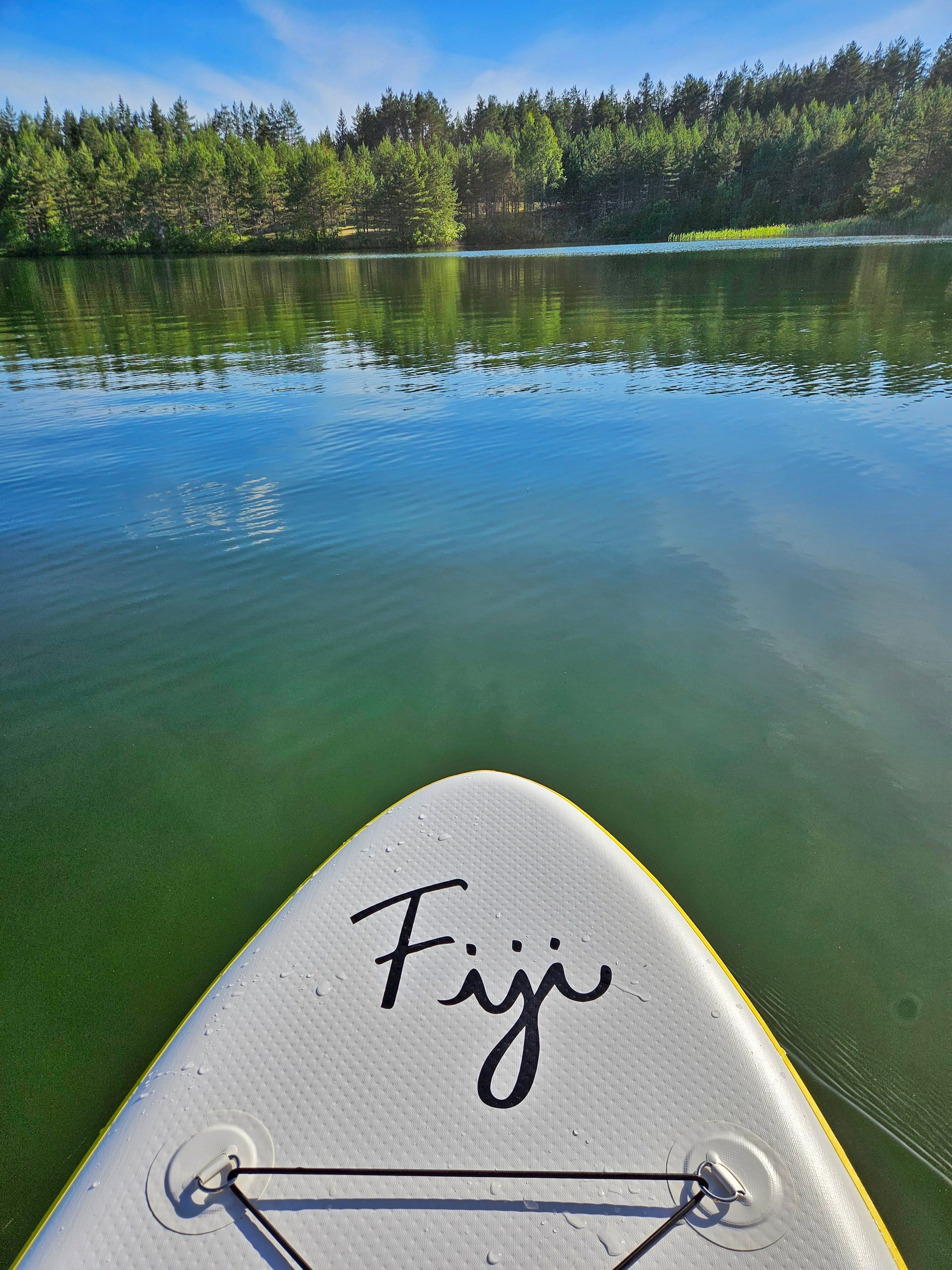 Sup surfing