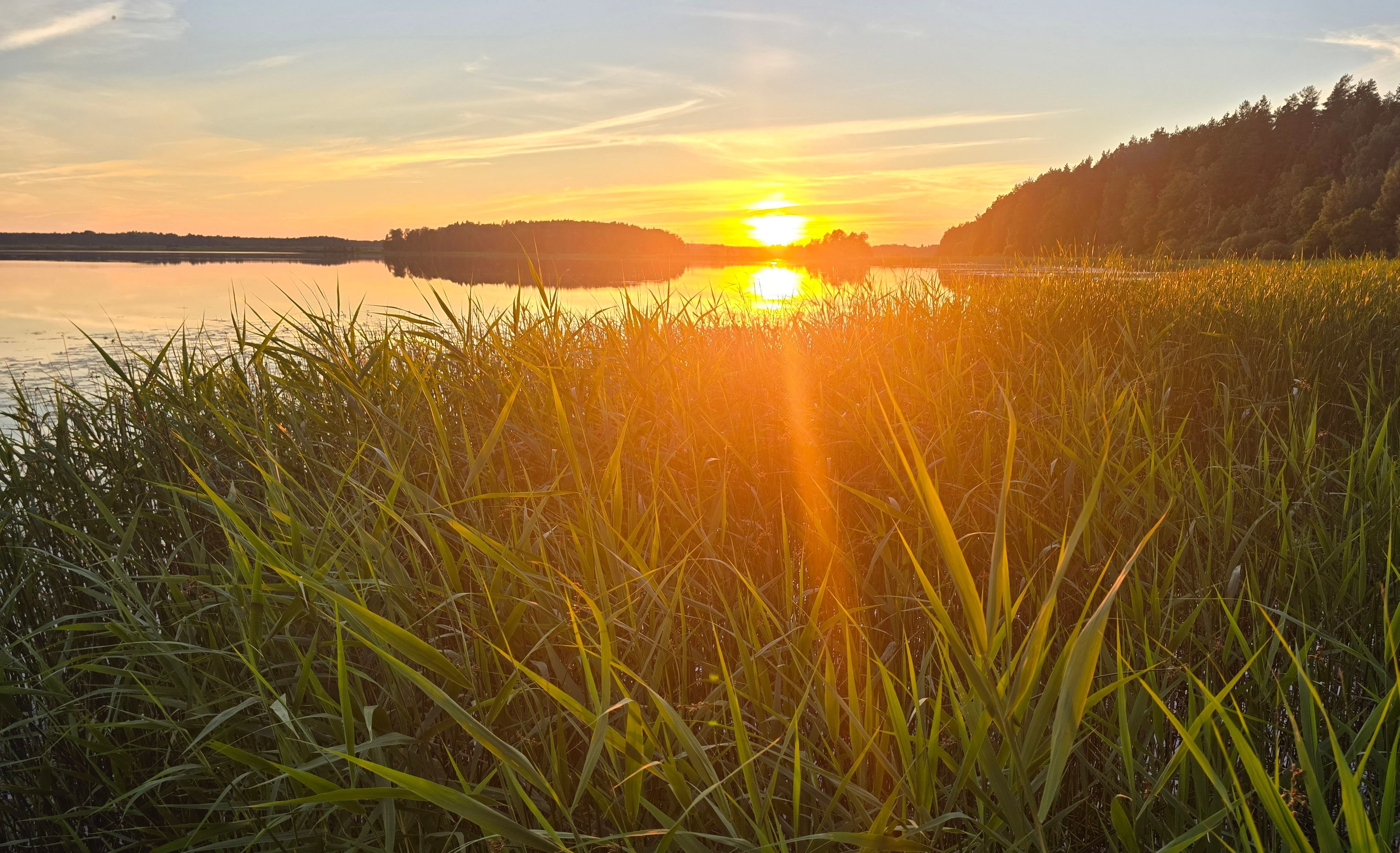 Loojang Kaiu järvel