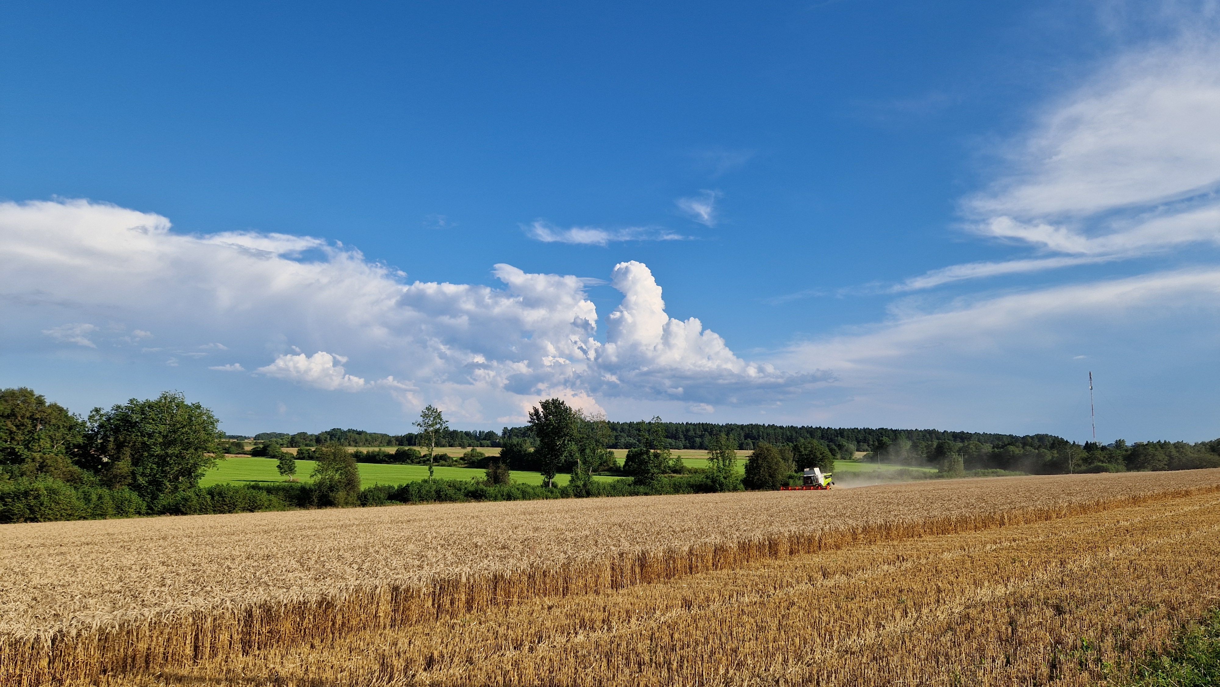 Purtse maastik kombainiga