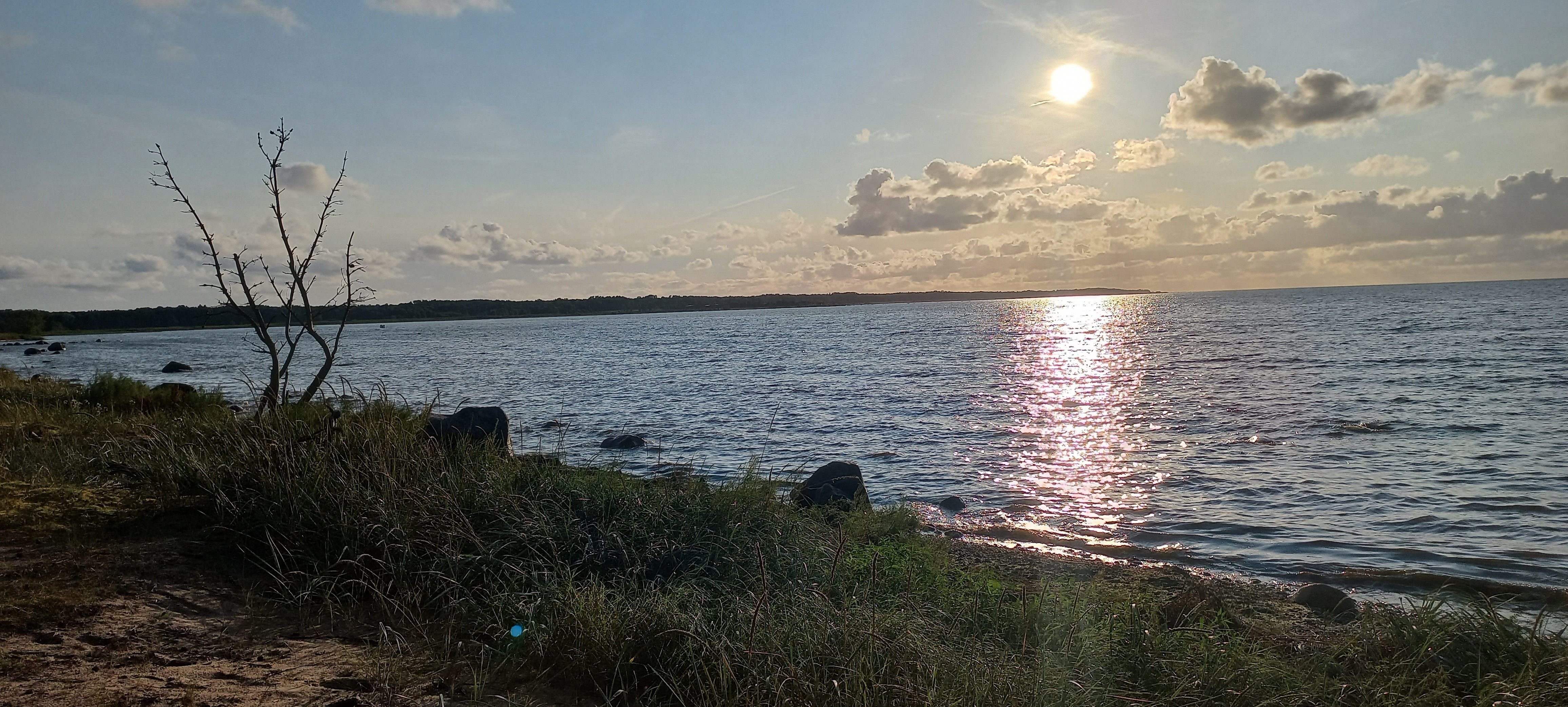 Pildil on Pedase rand koos augustikuu õhtuse päikesega!
