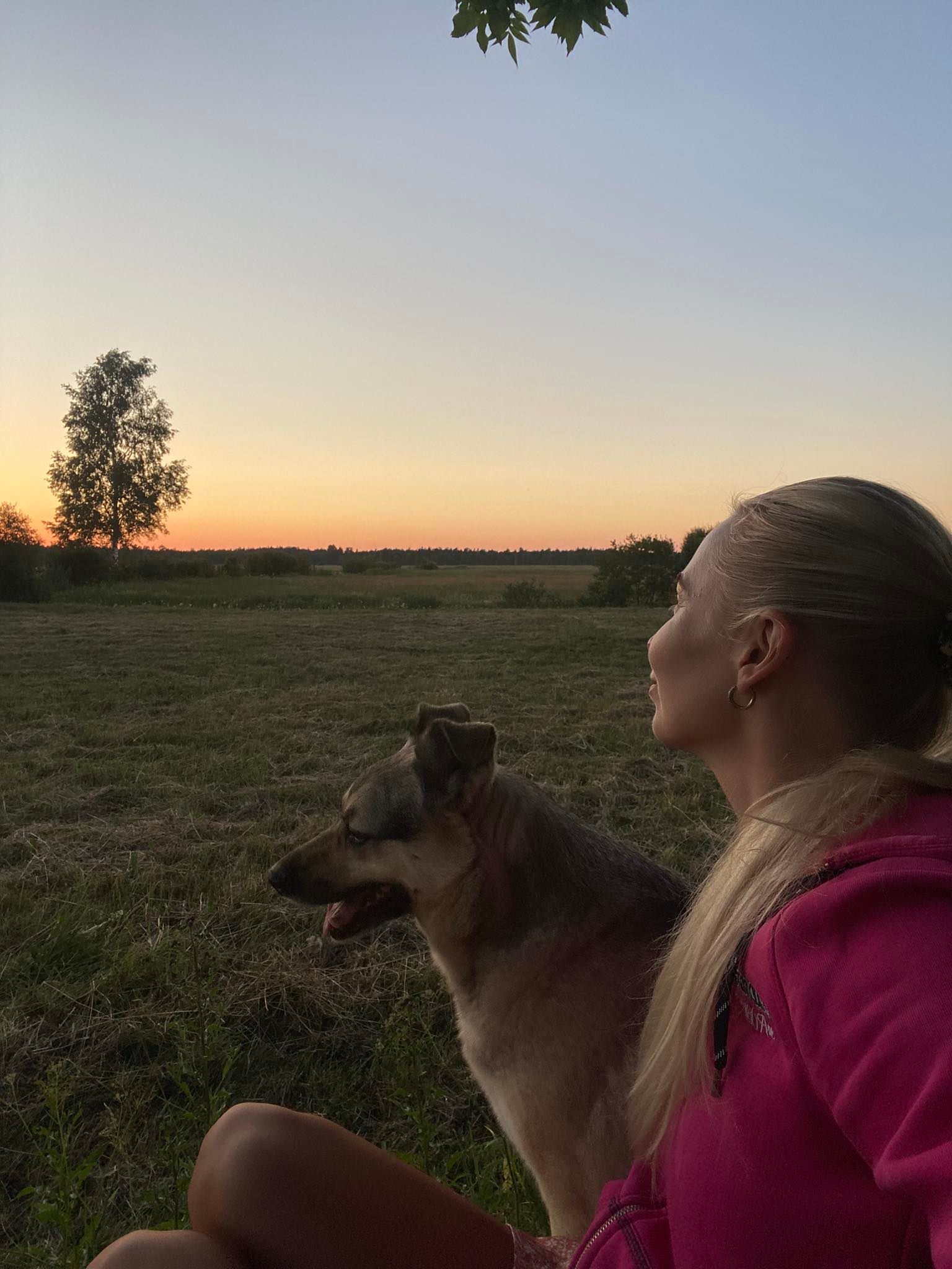 Mõnus hetk koos parima sõbraga päikeseloojangu saatel