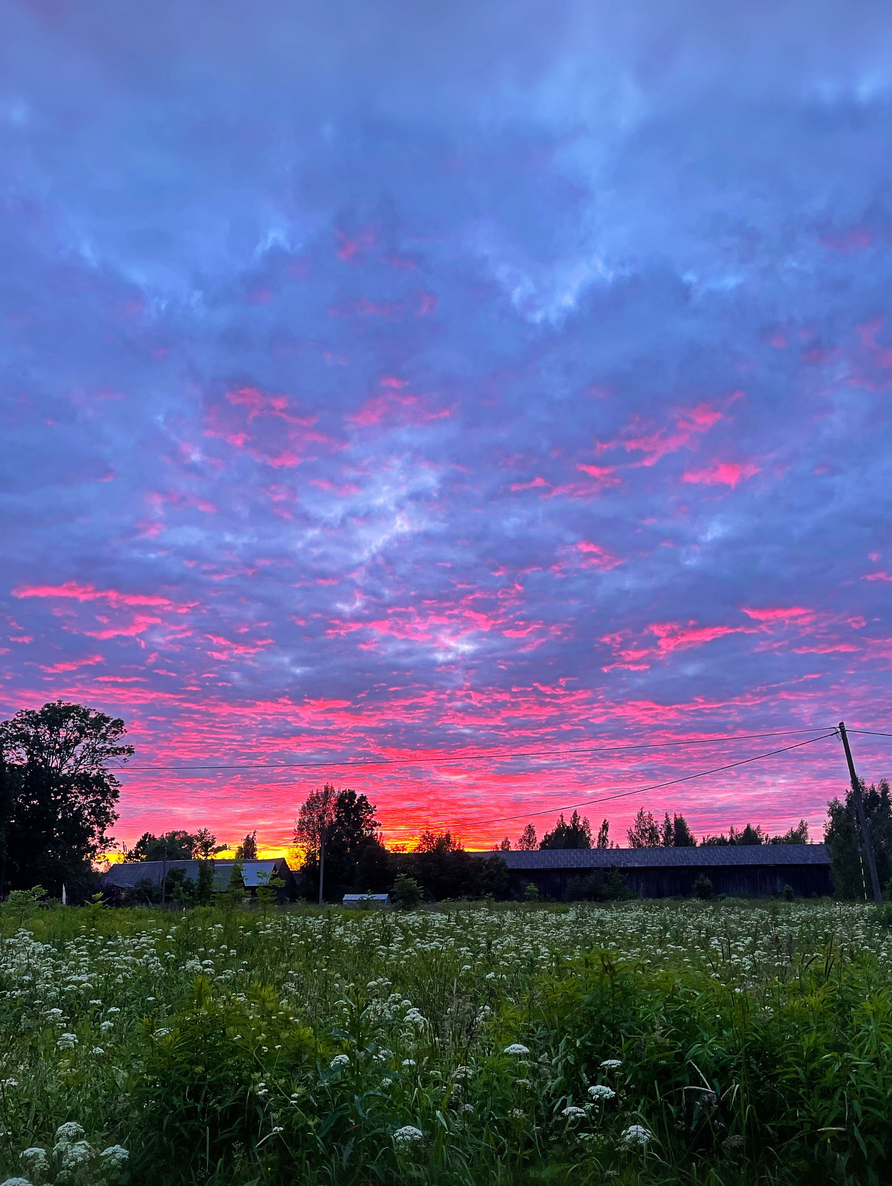 Sellise vaatega sa ei märka, et kõik sääsed on söödetud ja nad istuvad londid ripakil ja ohkavad su ölal koos sinuga-
Ah on ikke hää maal elada! 
Ai-kurja kuidas sääre sügelevad!!! 
