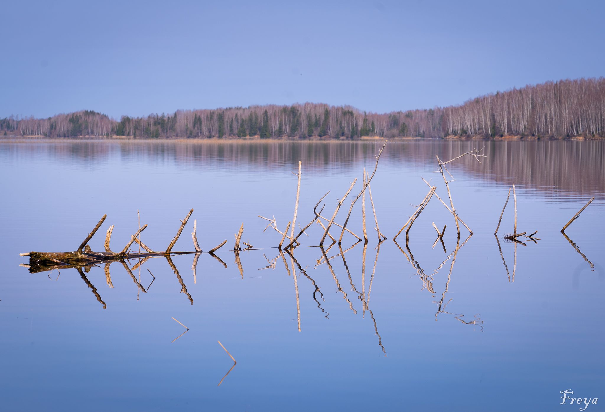 Tegemist on suve alguses tehtud fotoga,  justkui järvel oleks sõnum ruunikirjas!