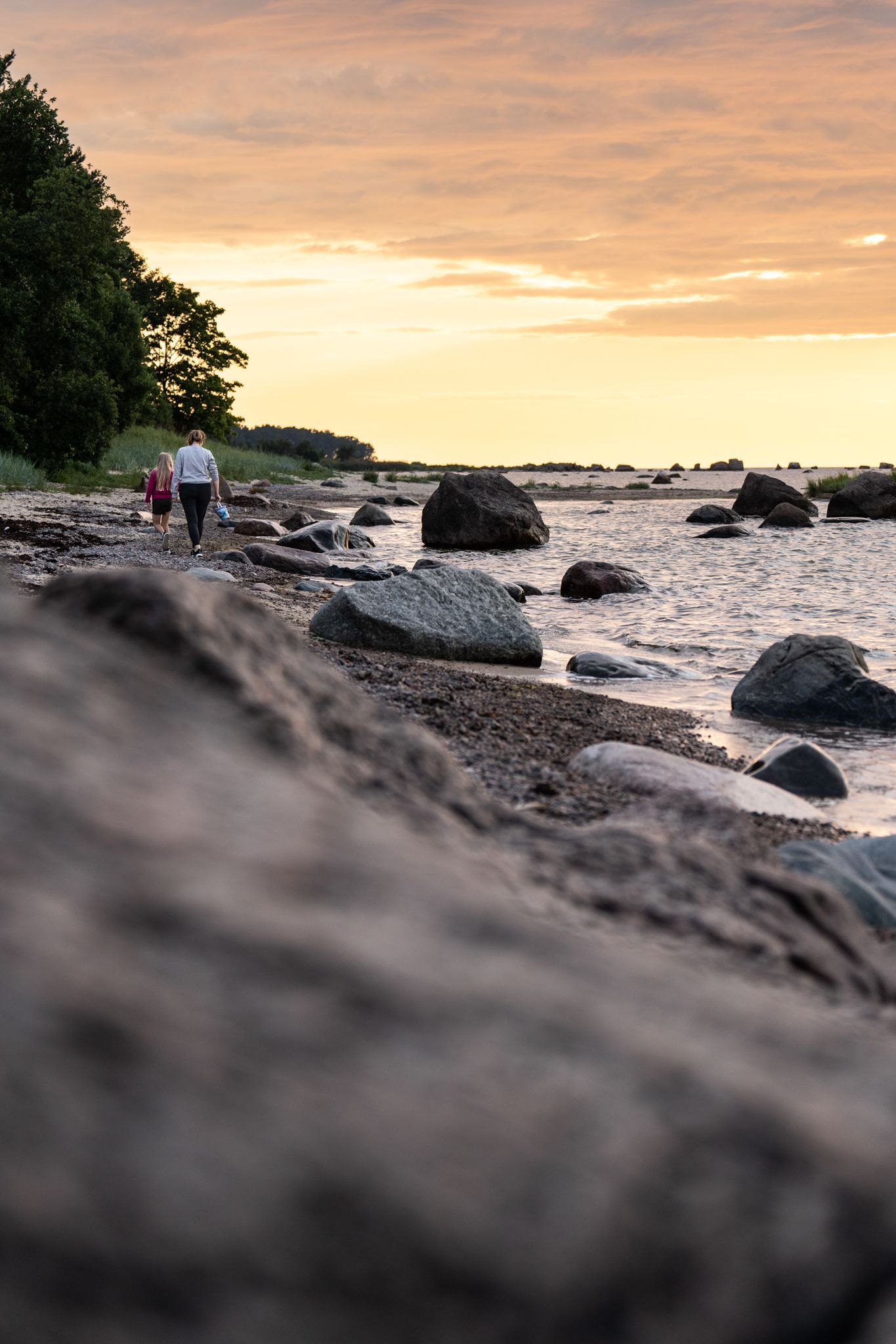 Augusti sume suveõhtu