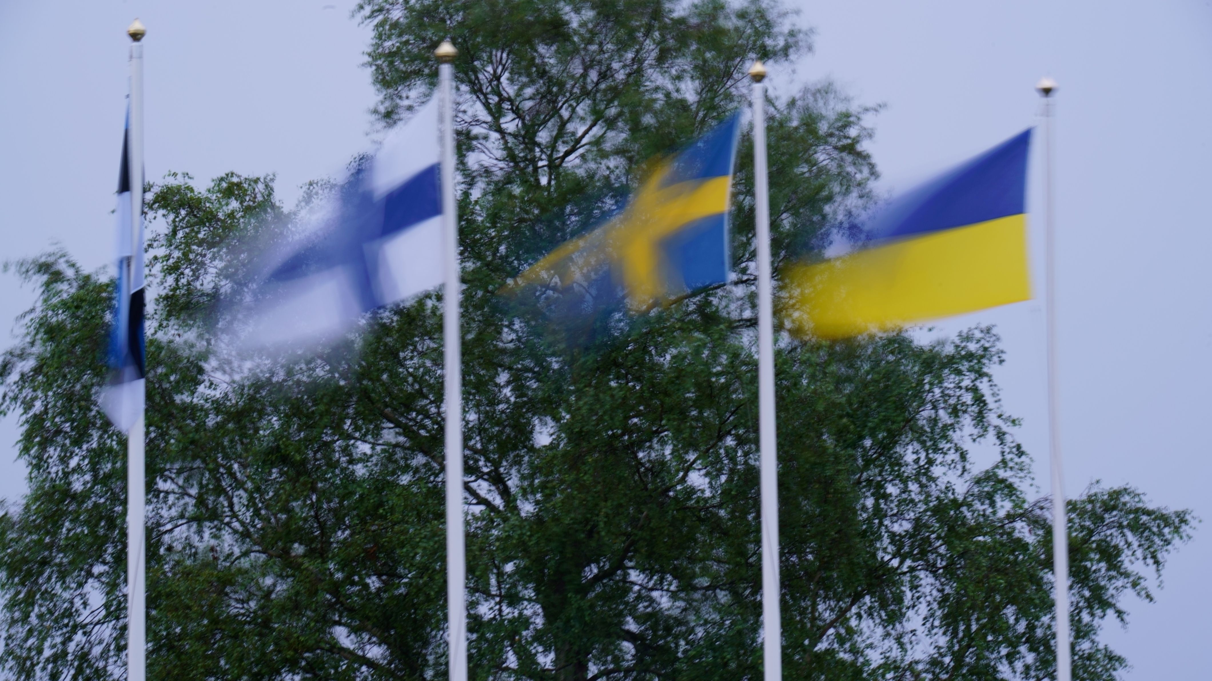 Meie rahvusvaheline suvi