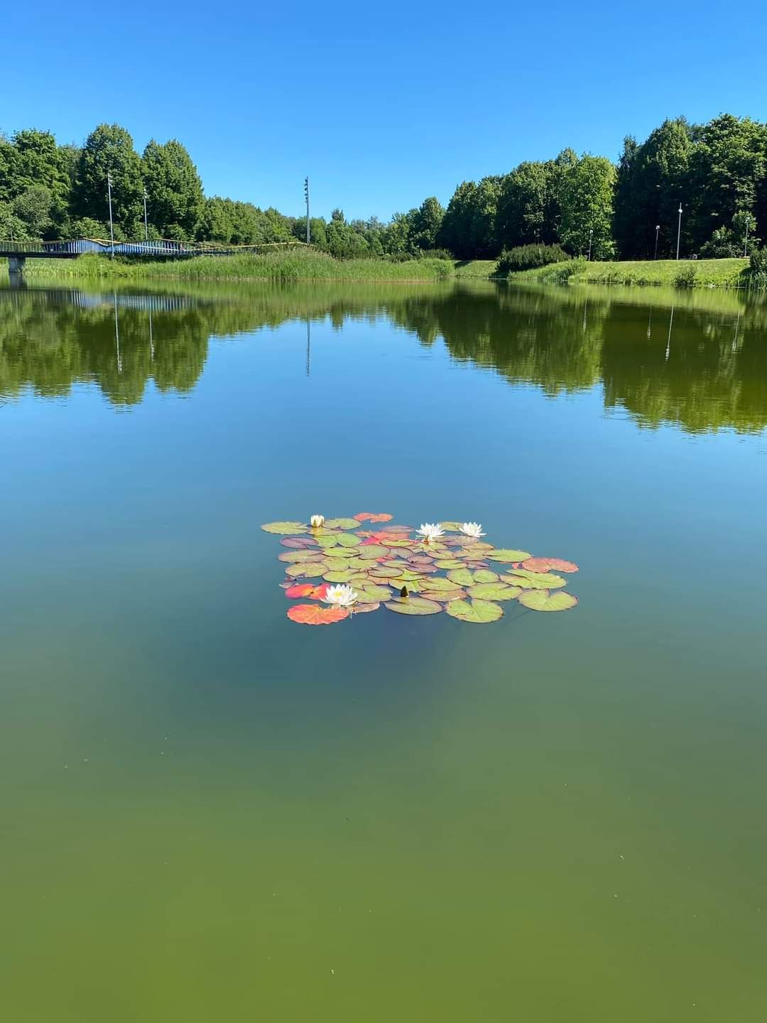 Kohtla-Järve park.