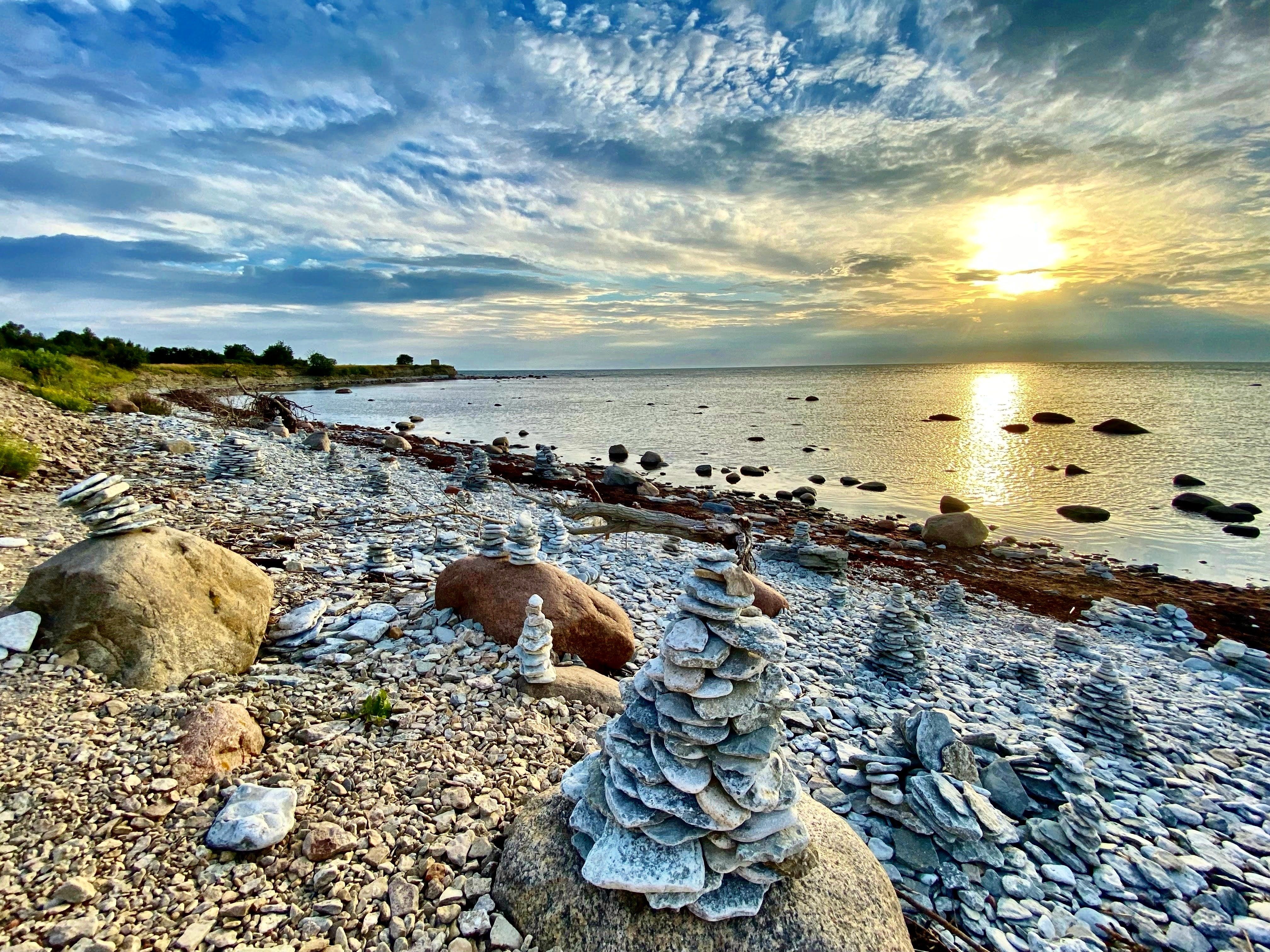 Taukaid rannal
