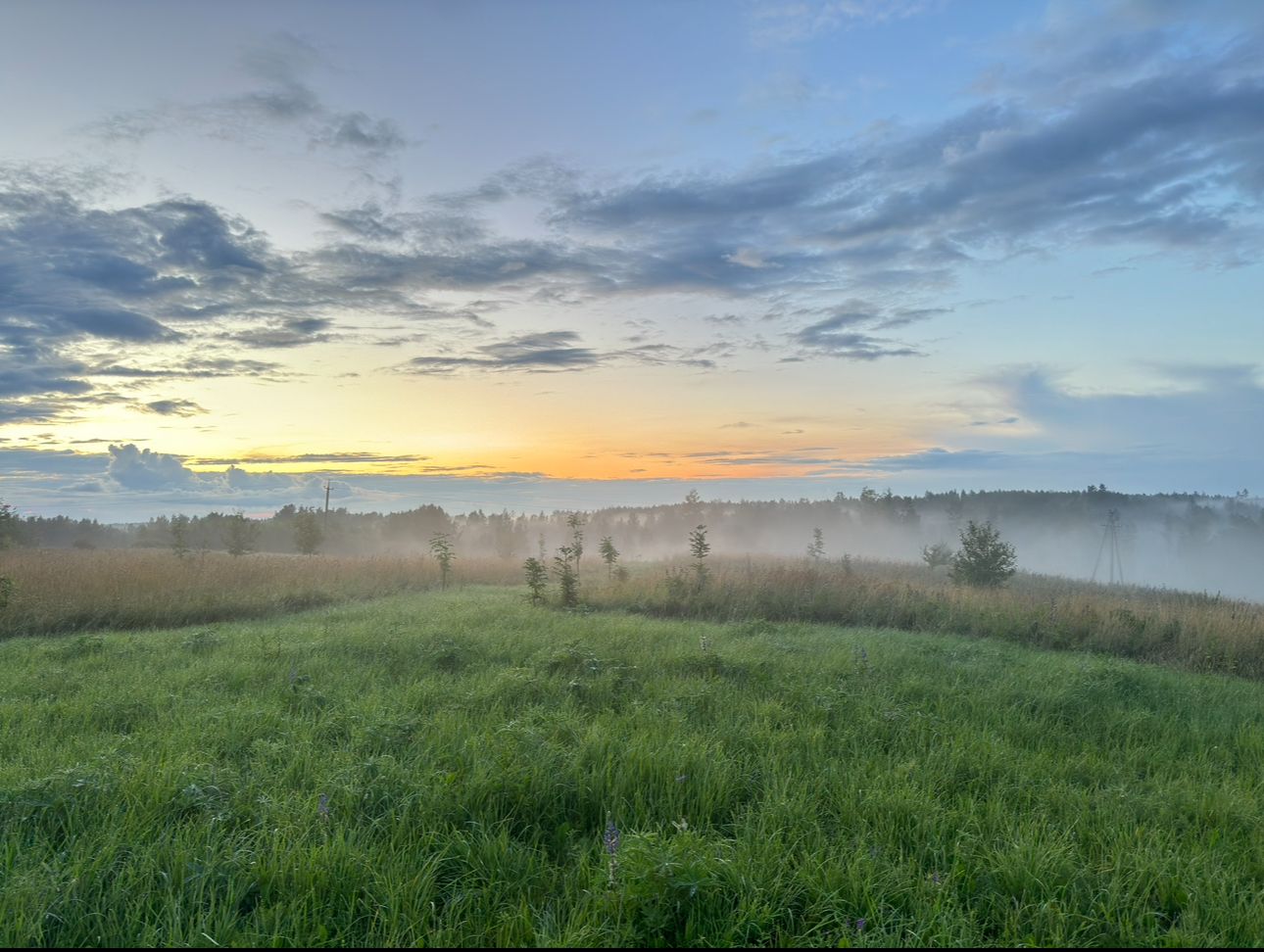 Kaunis õhtu