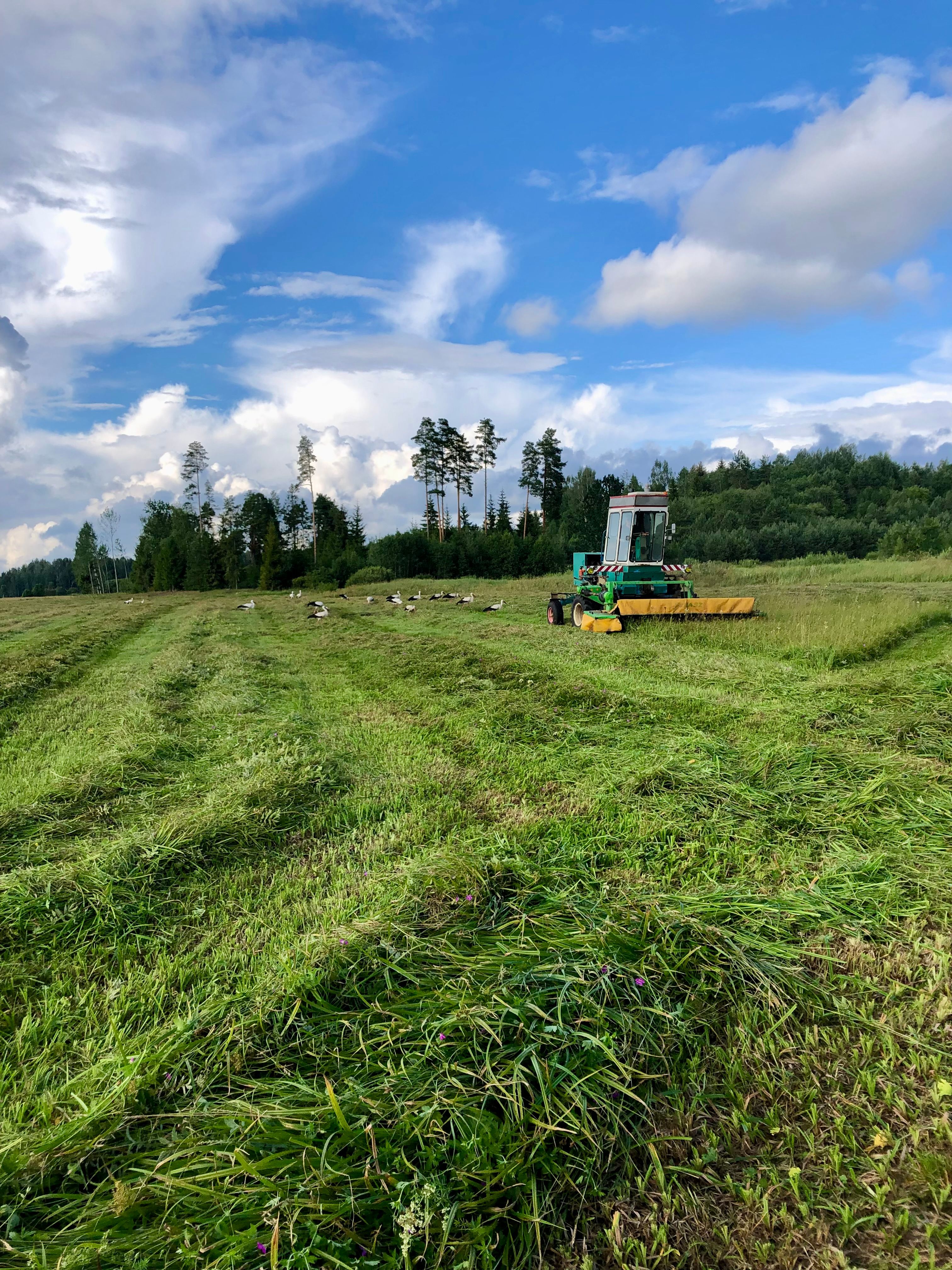 Heinatöö kutsub toonekured uudistama