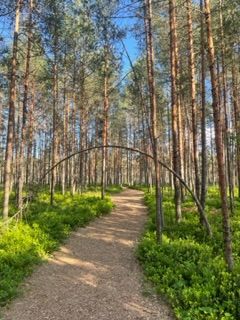 Rabaskäik päikeselisel päeval