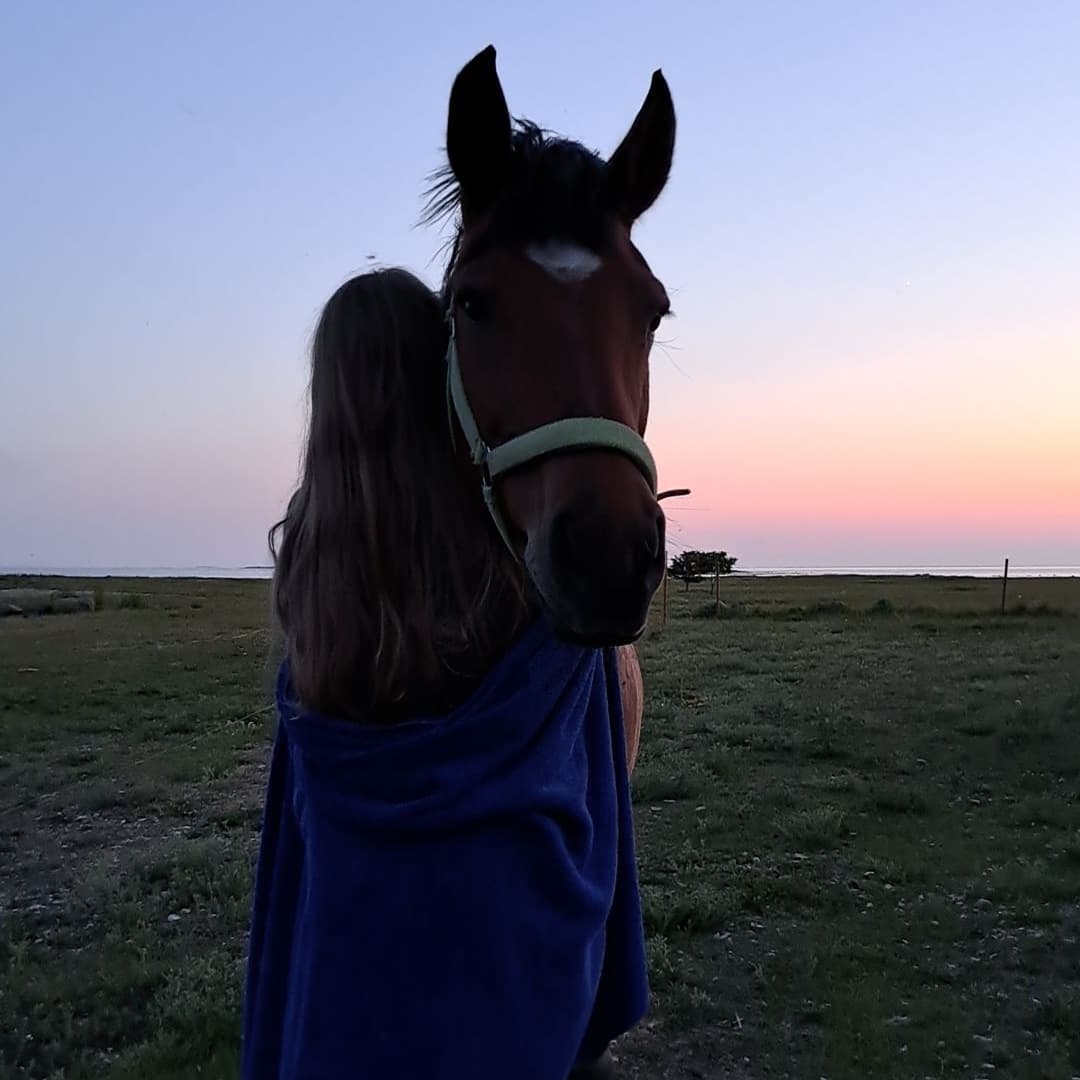 Mina ja mu lemmik hobune