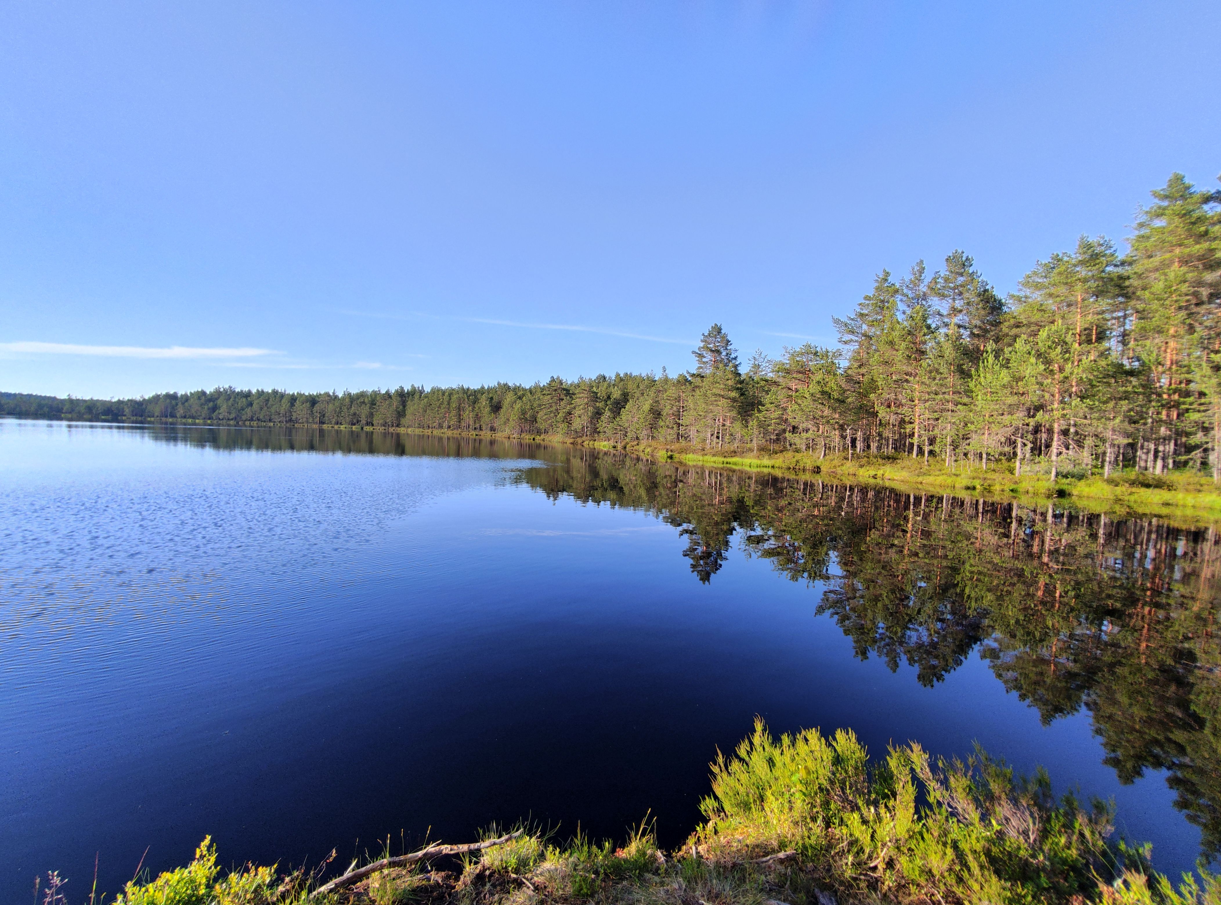 Vene järv 