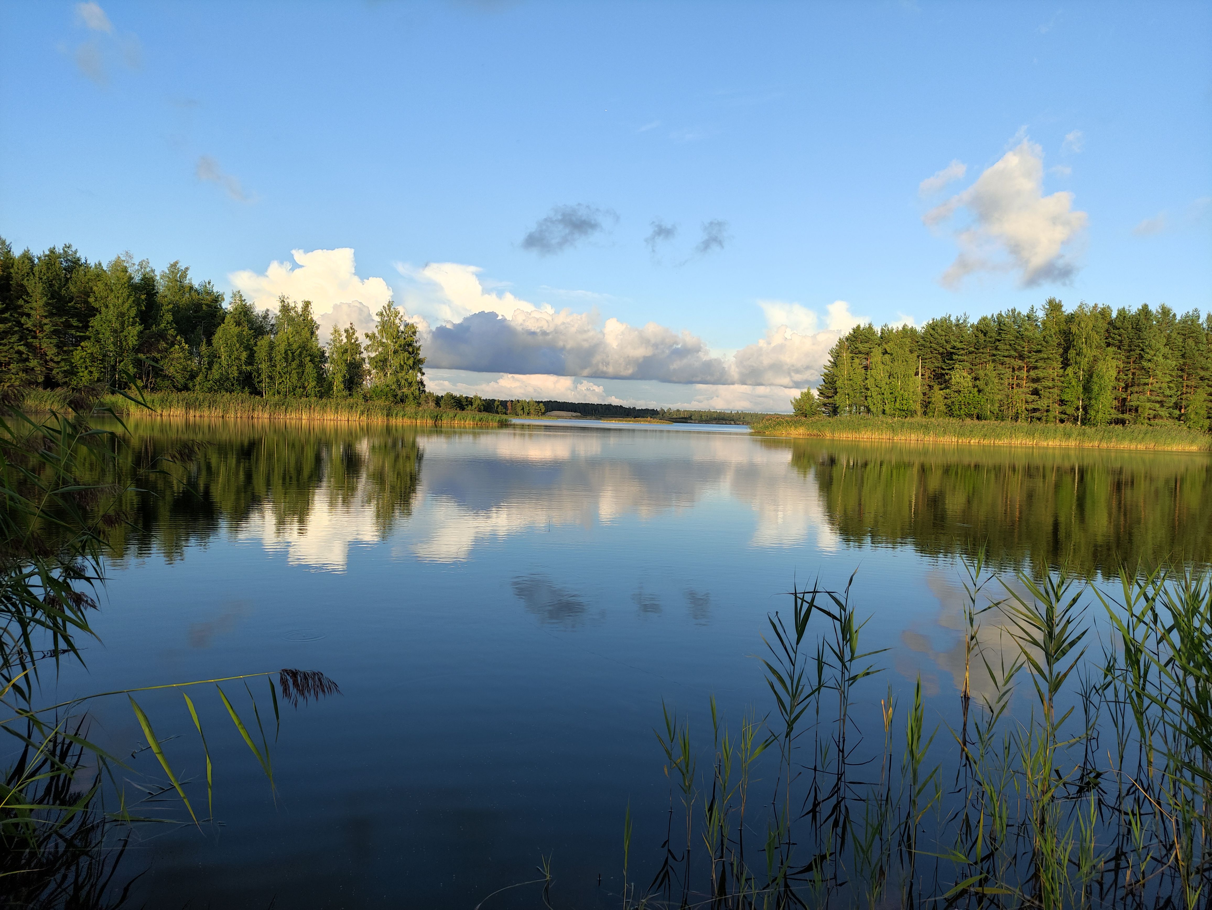 Puhka Myanniku karjääris