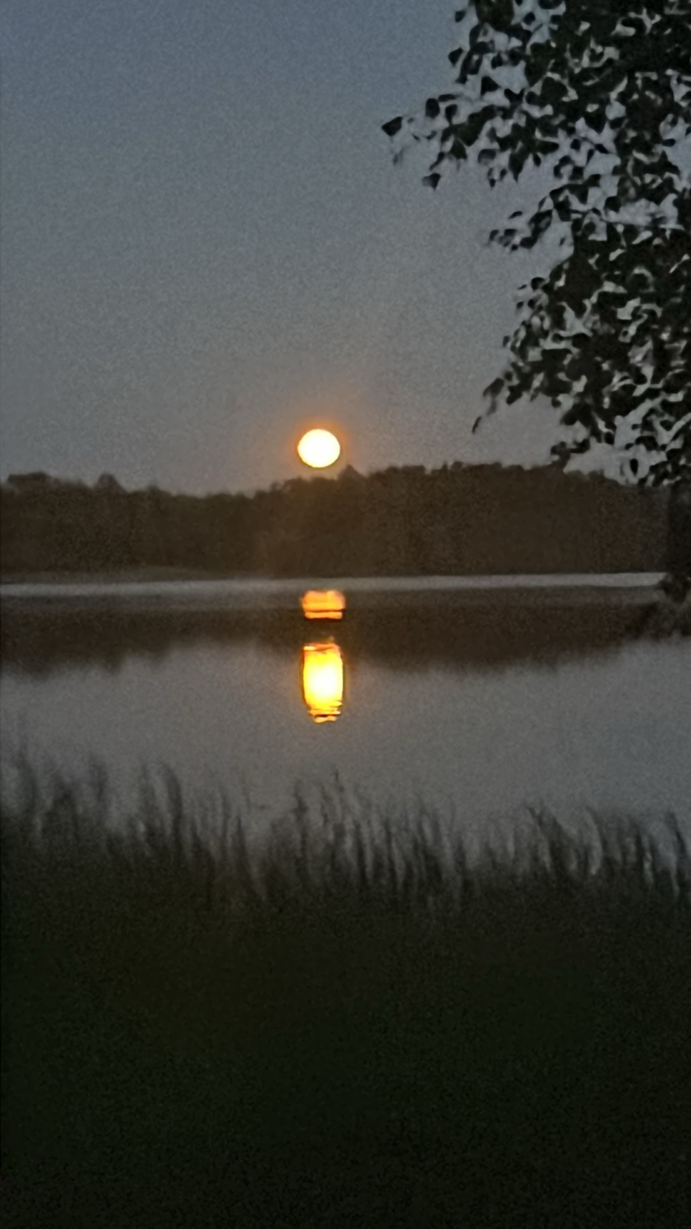 Kuu võib olla päike