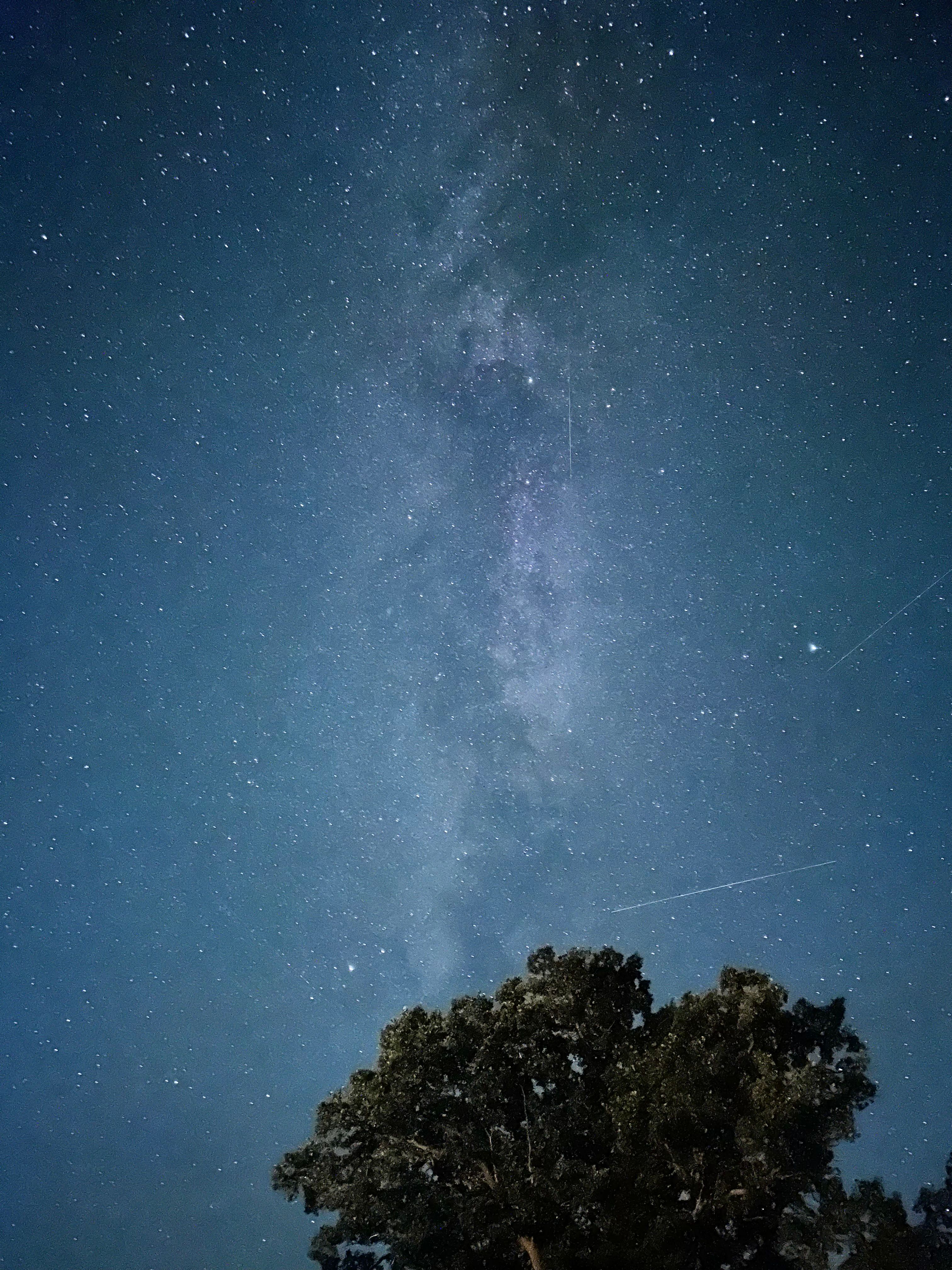 Cometa perseidas