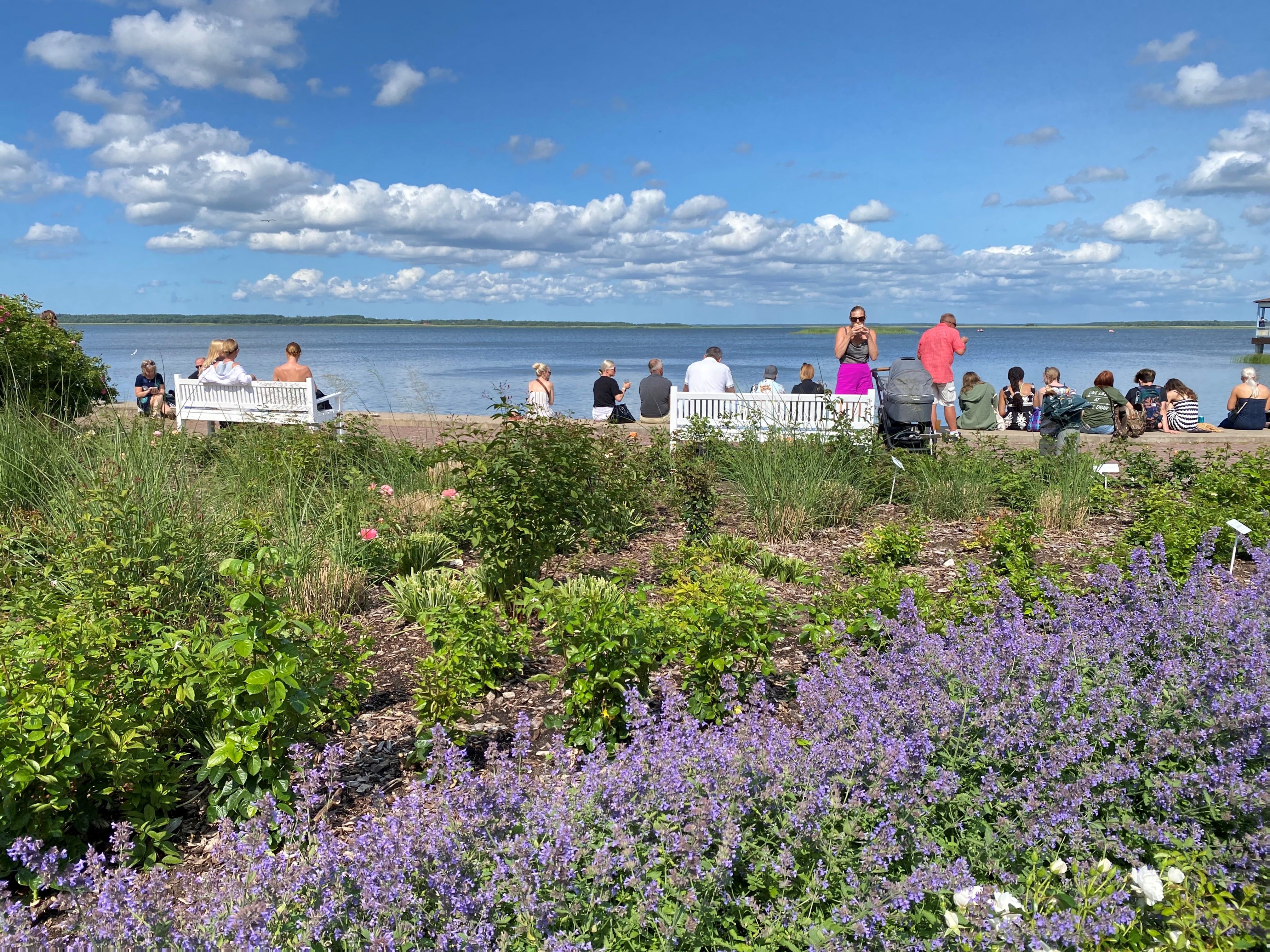 Suvine päev Haapsalu promenaadil