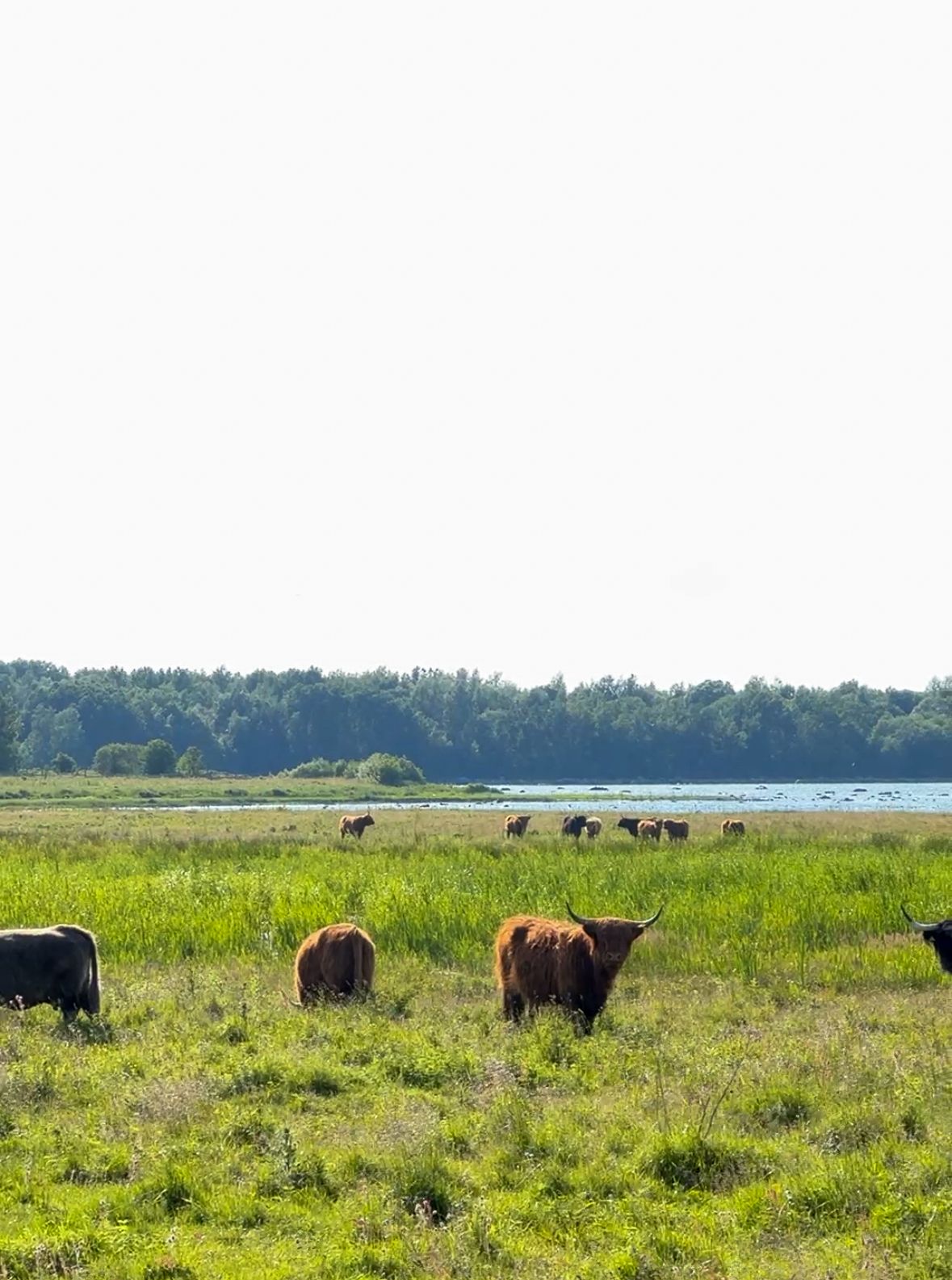Paljassaare Ilusalong vaade