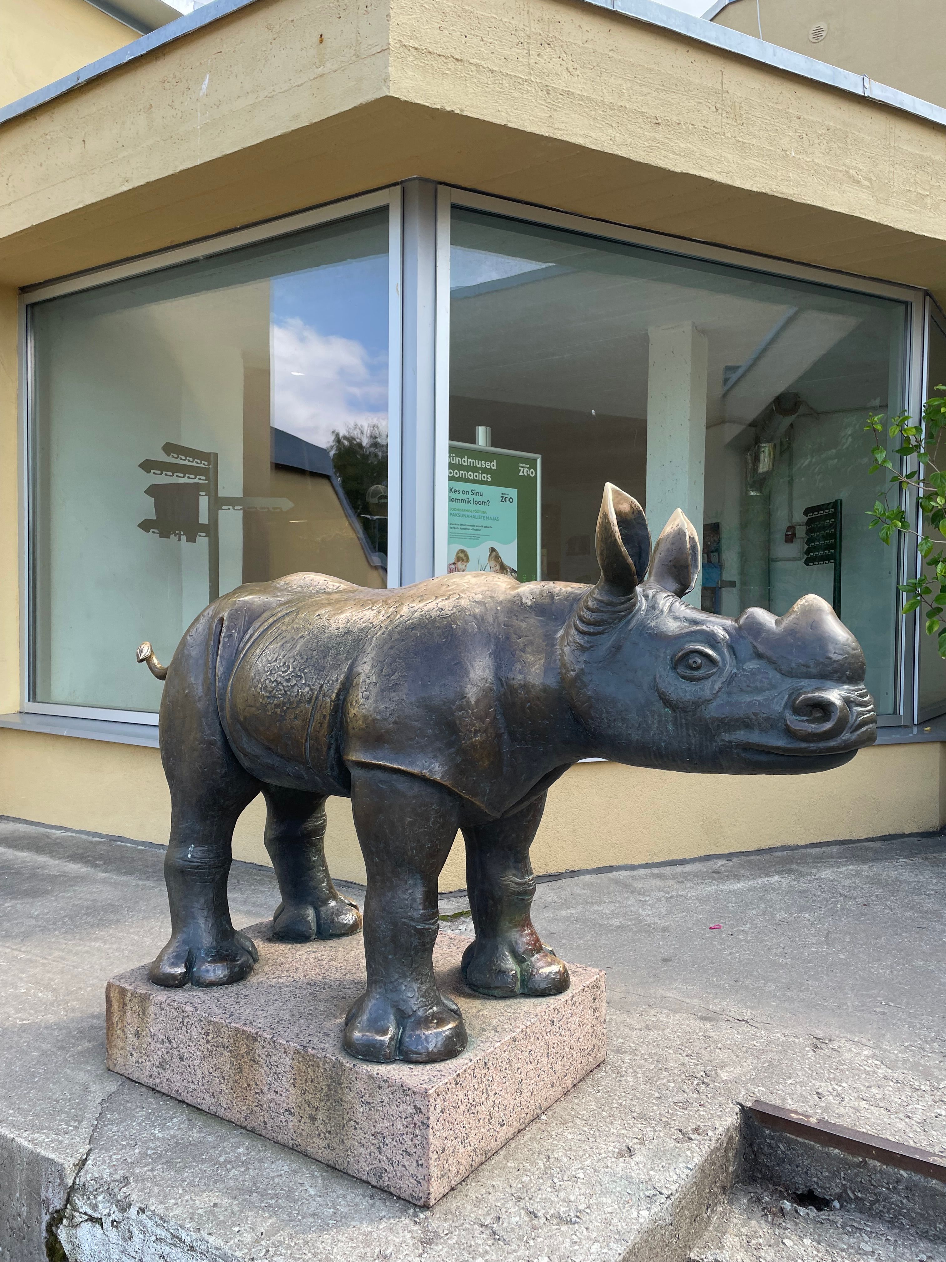 Tallinzoo (ninasarvik)🦏