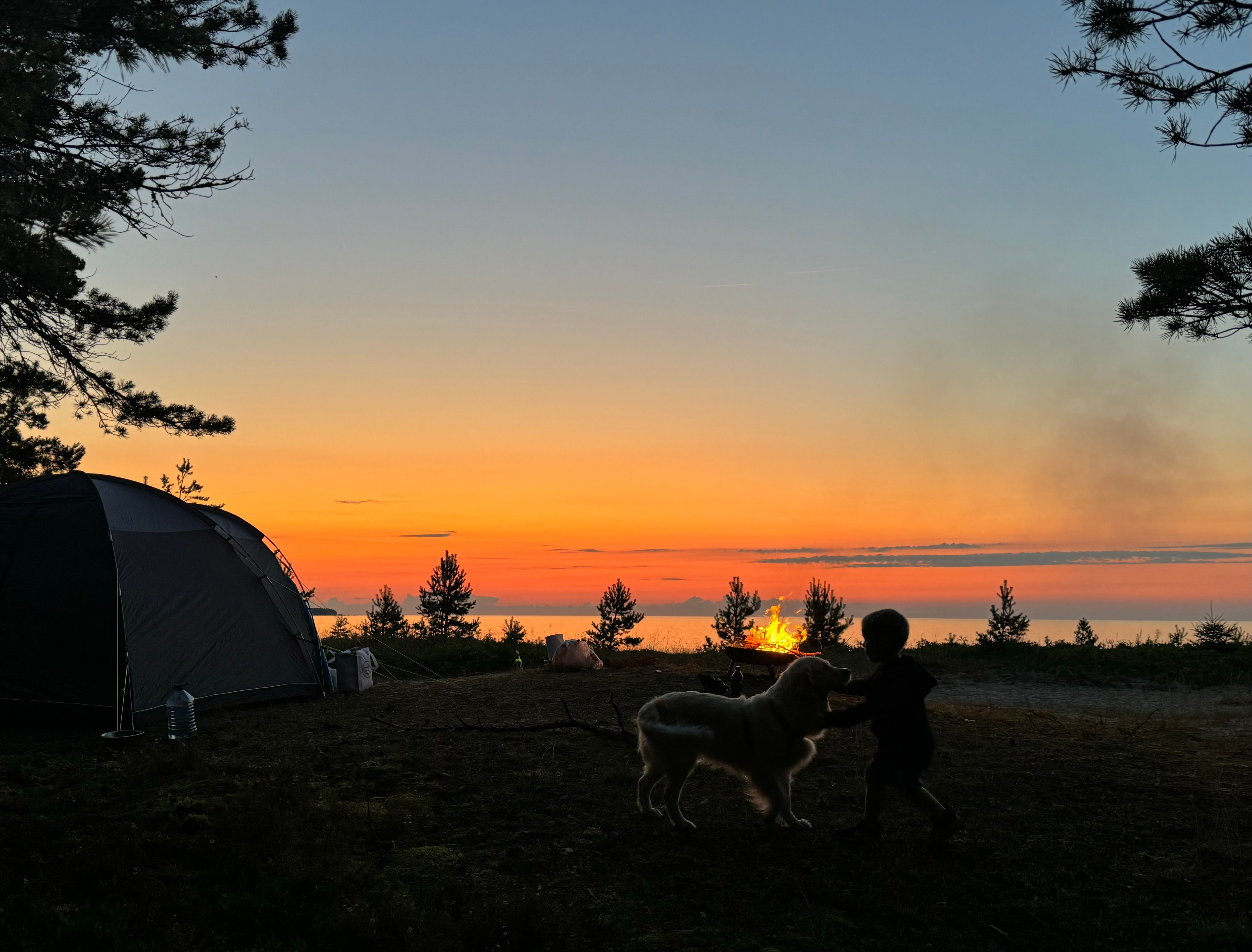 Suveöö ja parim sõber