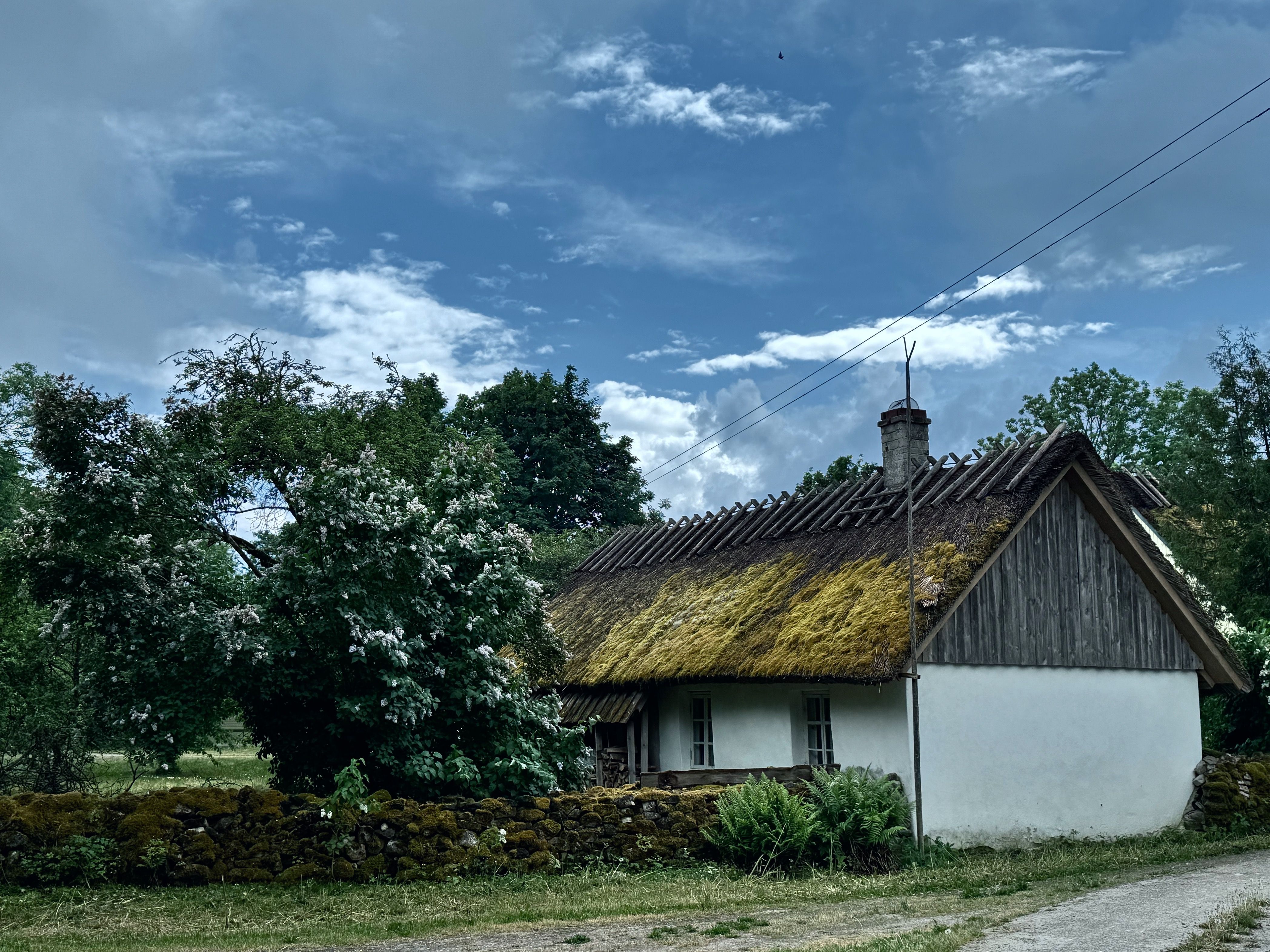 Kauneim koht Eestis. 