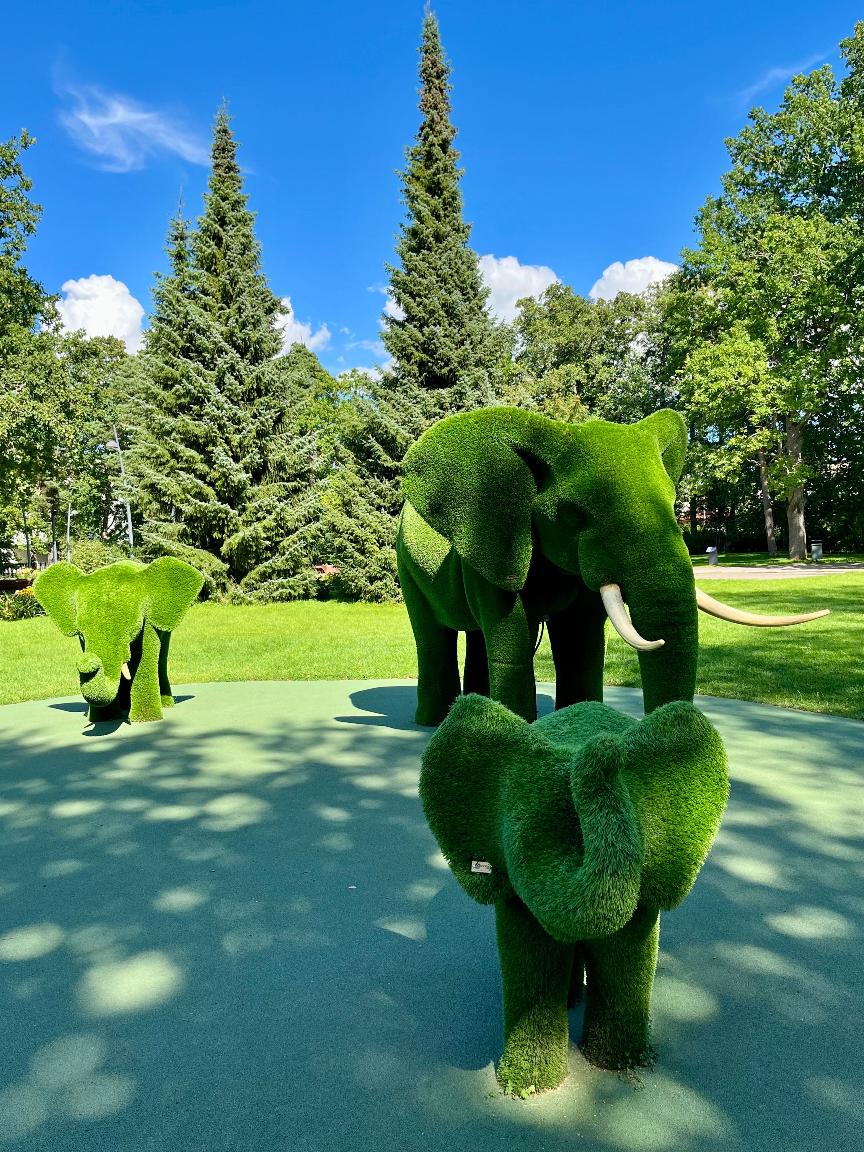 Elevandisuvi Pärnus