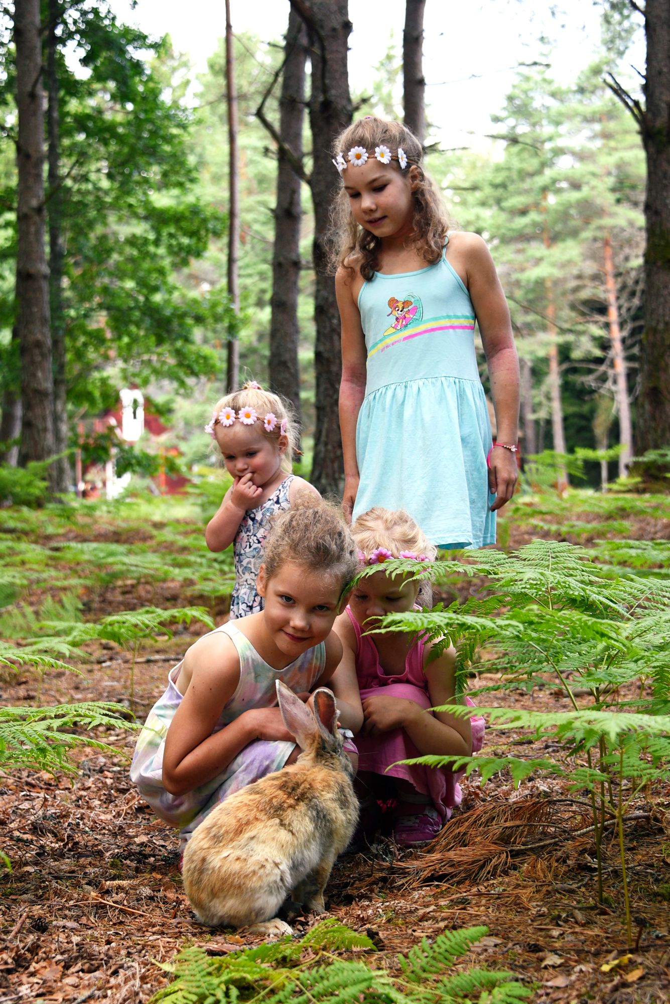 Laste paradiis jäneste saarel 