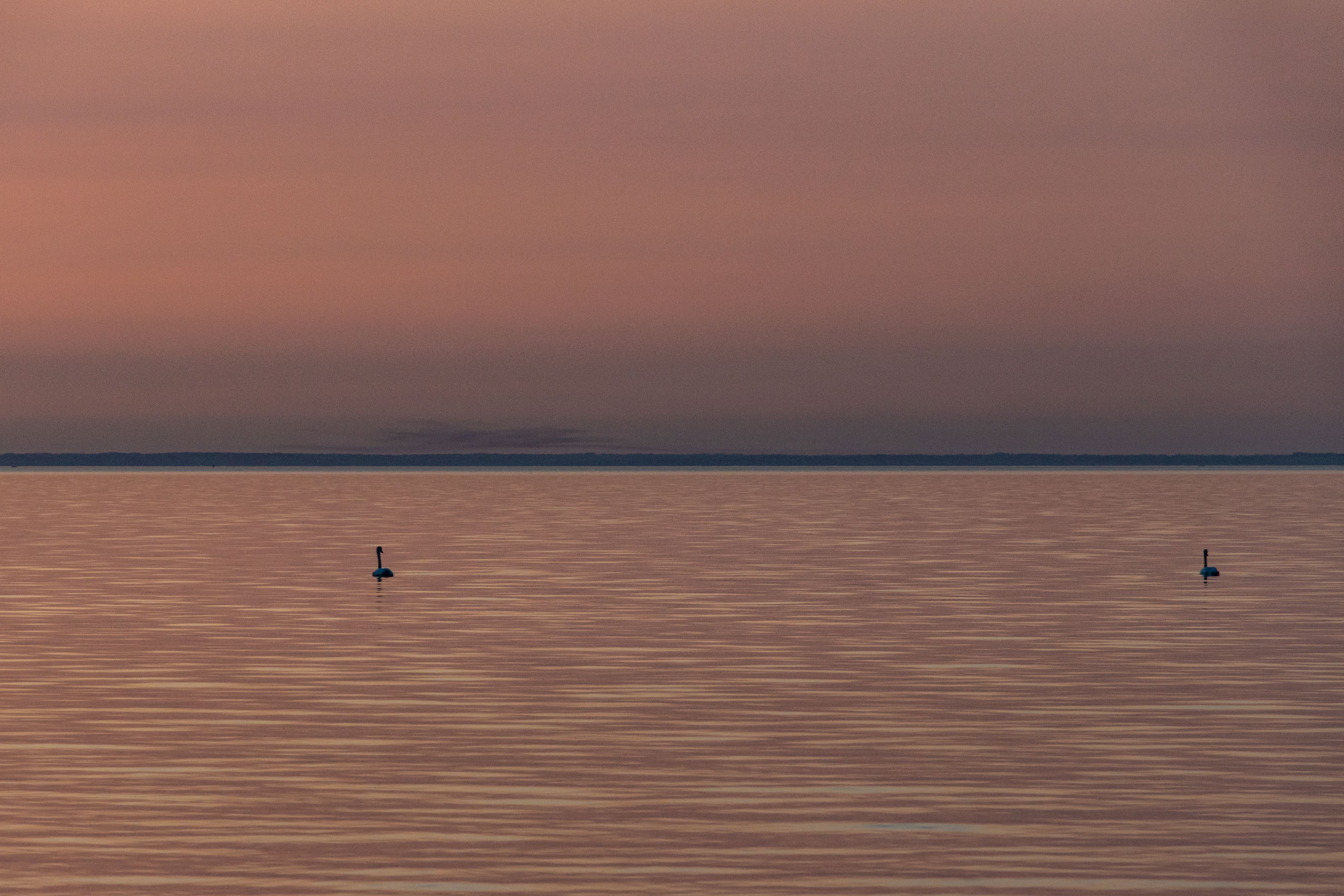 Luiged Pärnu lahel enne päikeseloojangut.