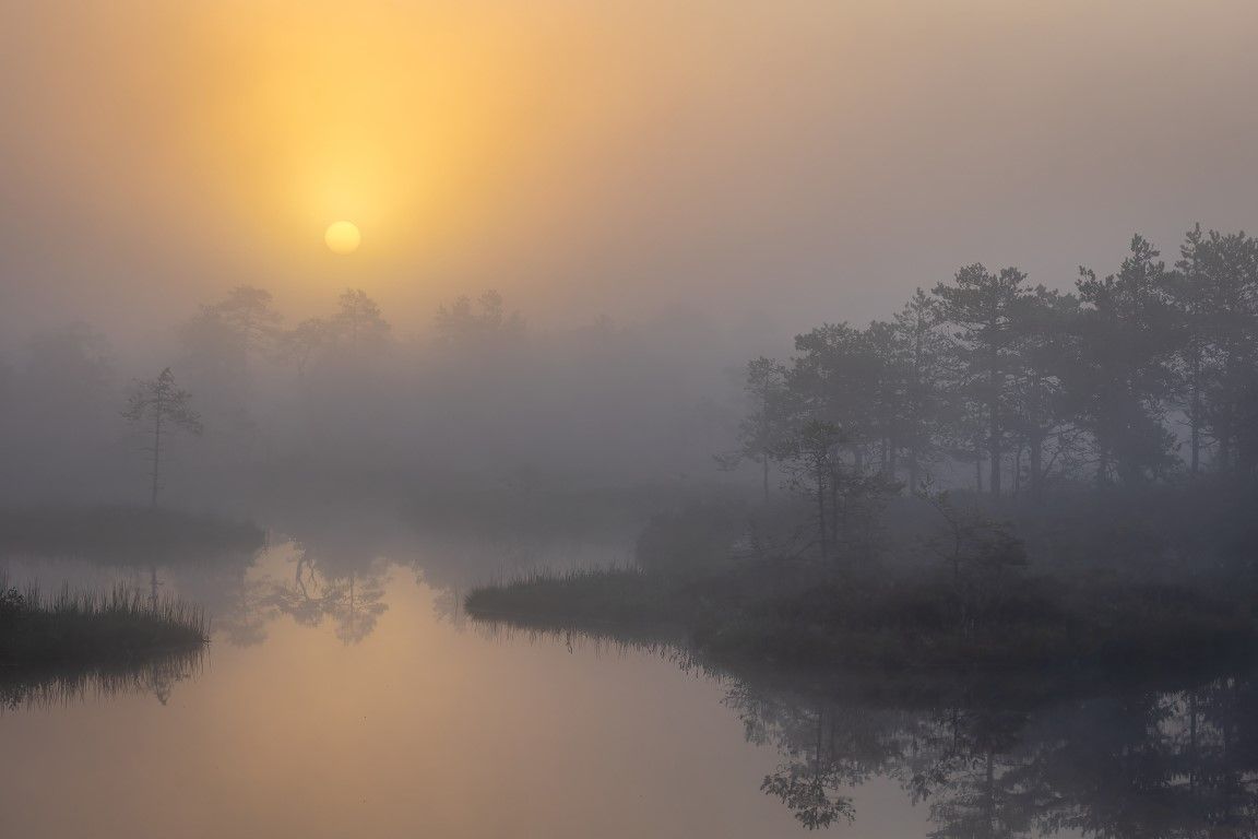 Päike tõuseb läbi paksu uduteki ja algamas on uus kuum suvepäev...