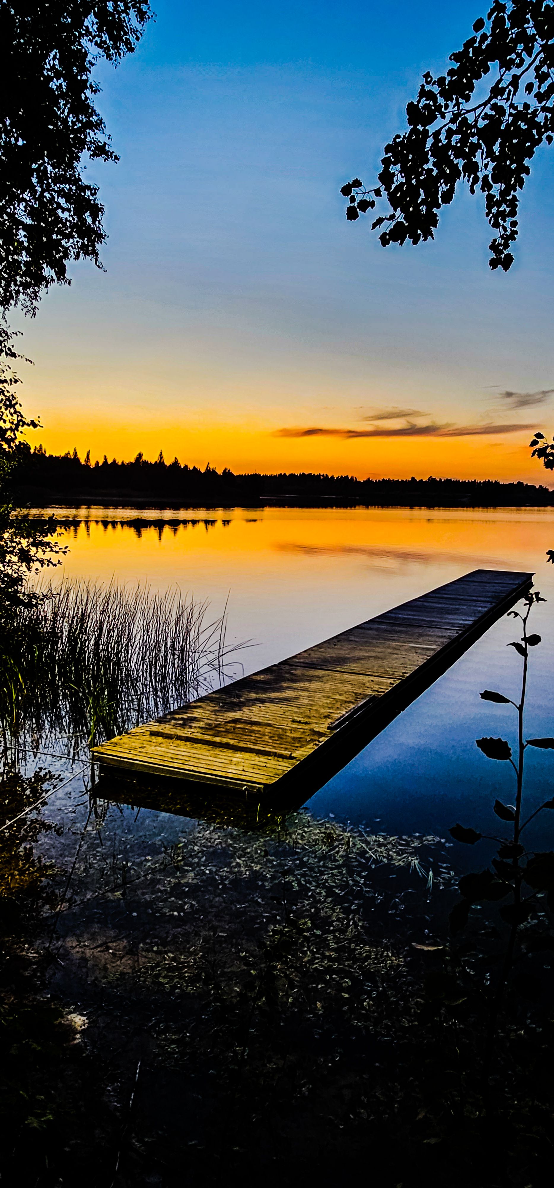 Taas punab päiksekiirtes õhtutaevas.