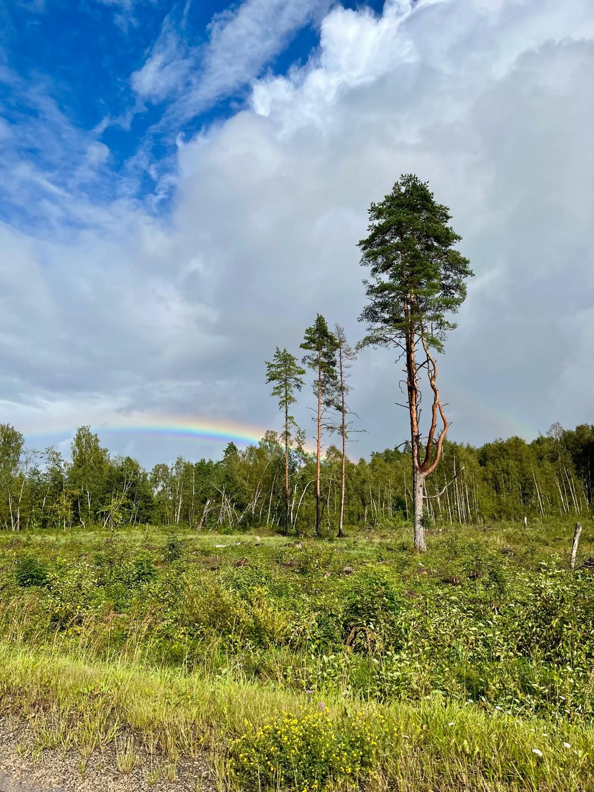 Vihm ja päike käsikäes