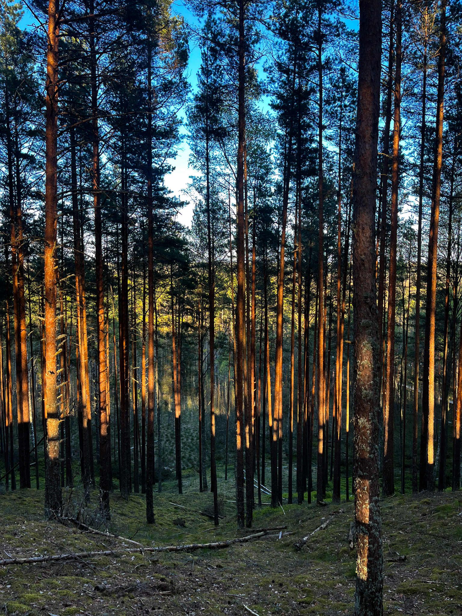 Jalutuskäik Tolkuse rabas