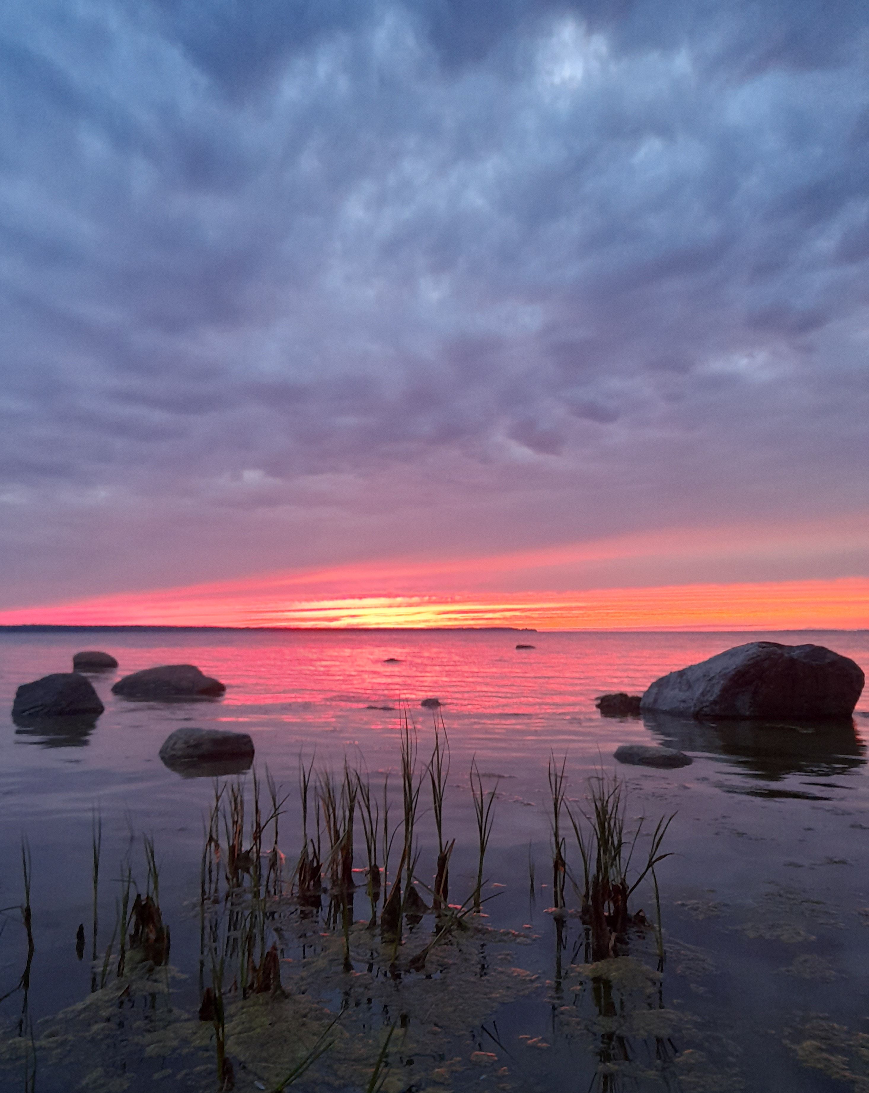 Loojangujärgne värvipalett.