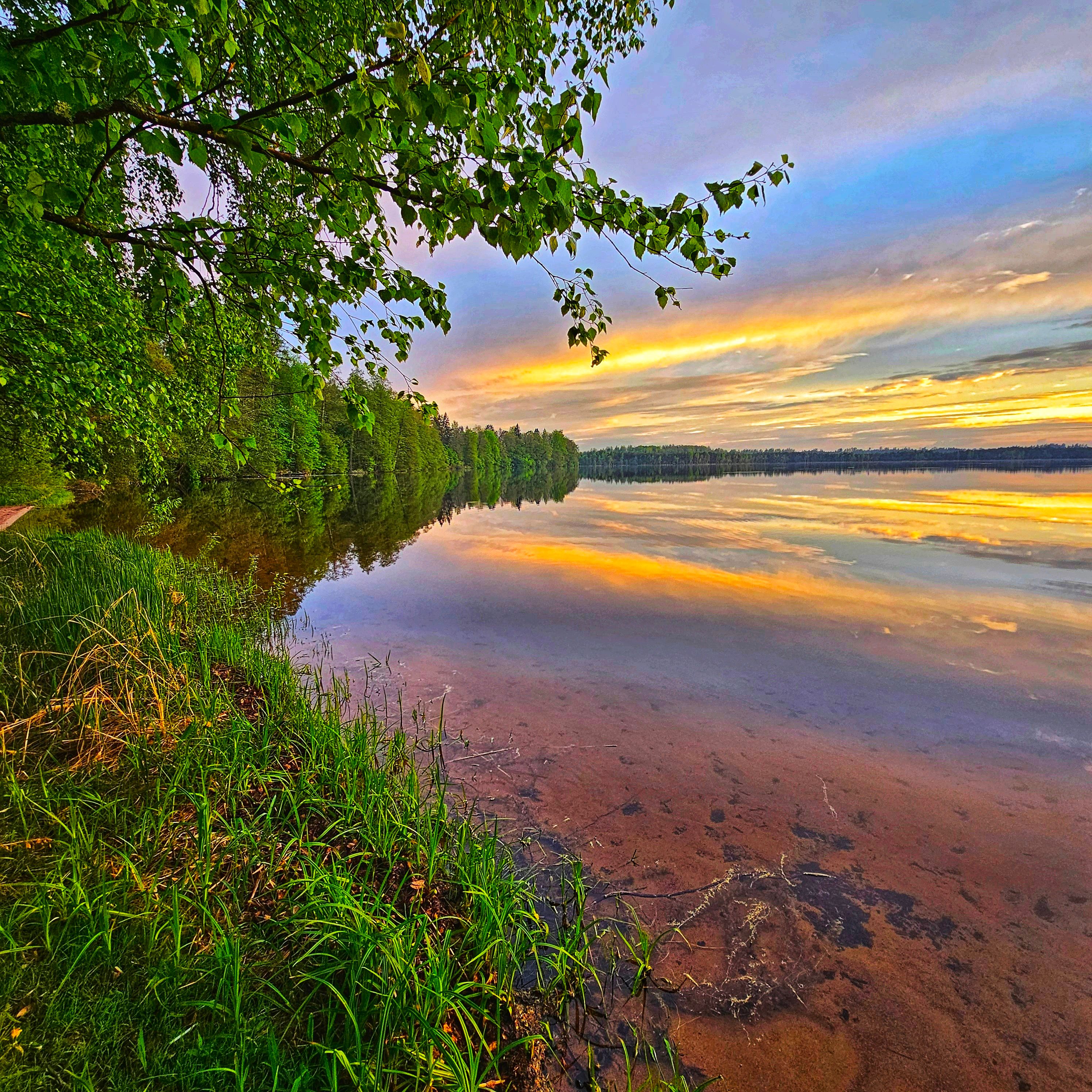 Uljaste Järv