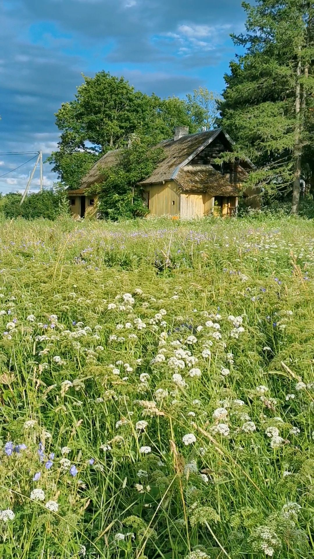 Tavaline klõps tehtud tavalisel jalutuskäigul...


