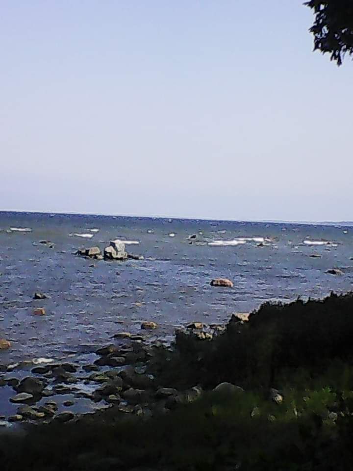 Lõõgastus 