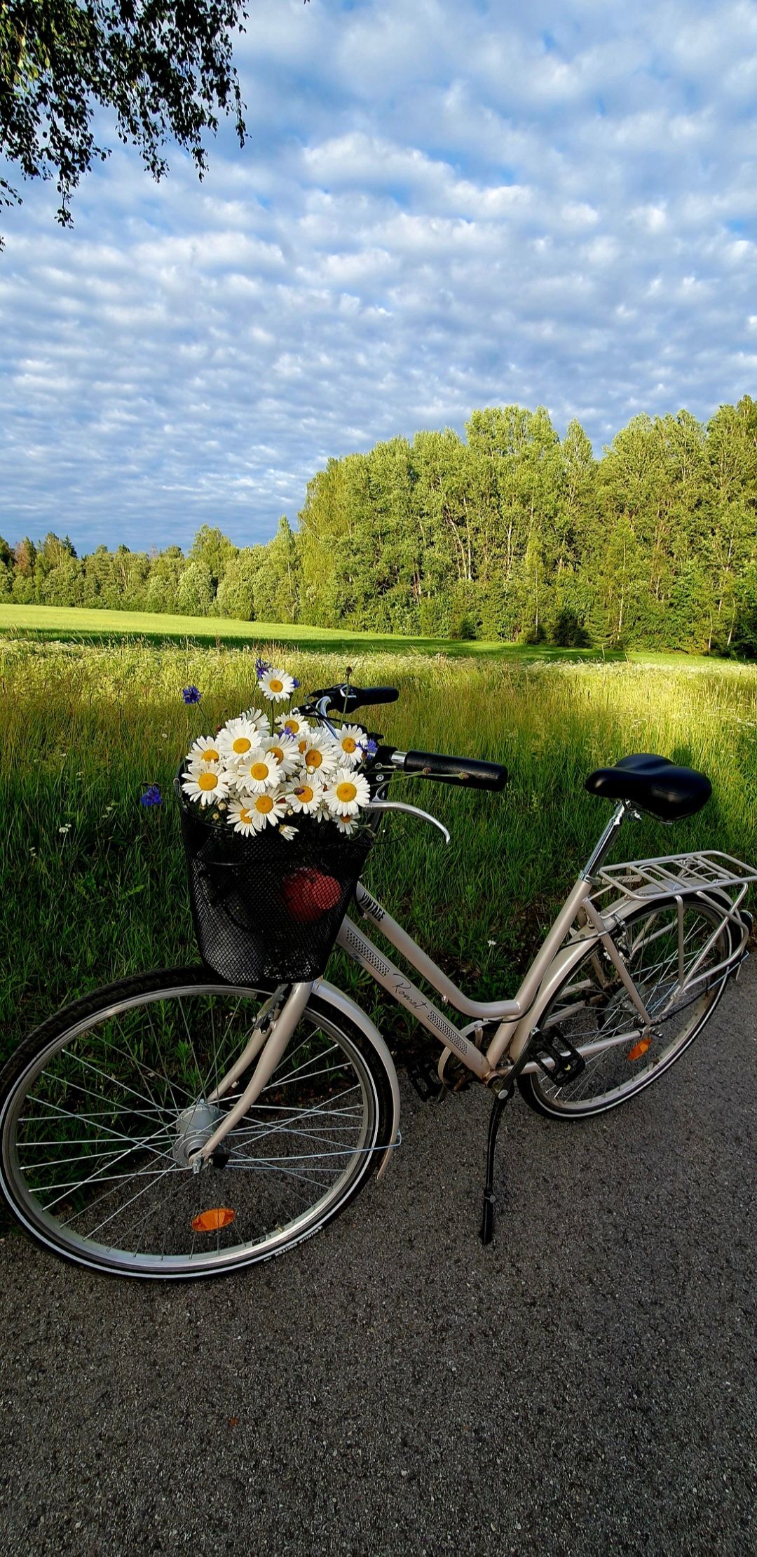 Suvi