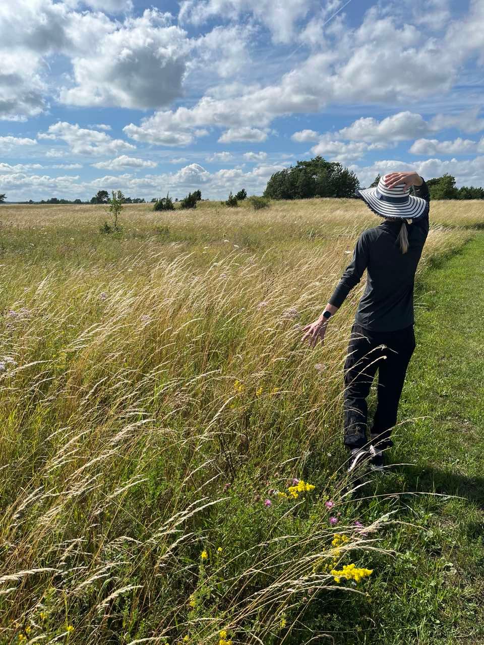 Kaunis Saaremaa loodus