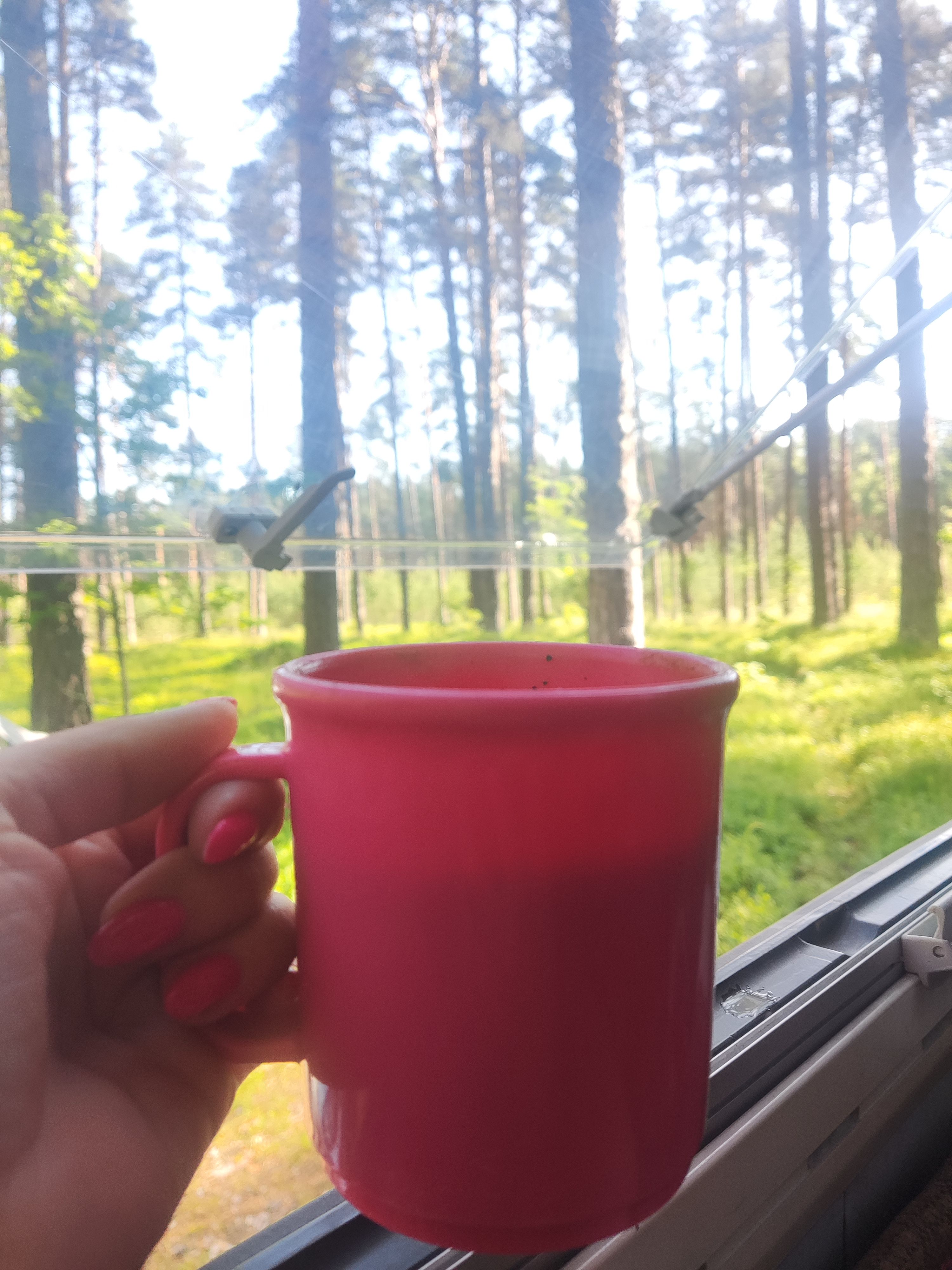 Parim hommiku kohv farmi täis piimaga 😋
