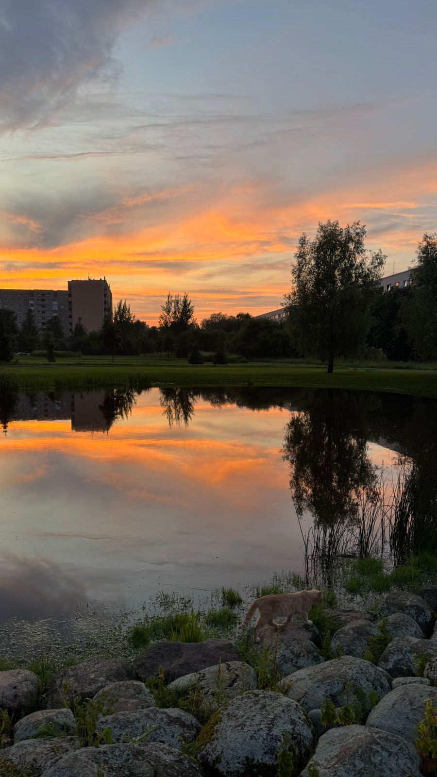 Öine Narva