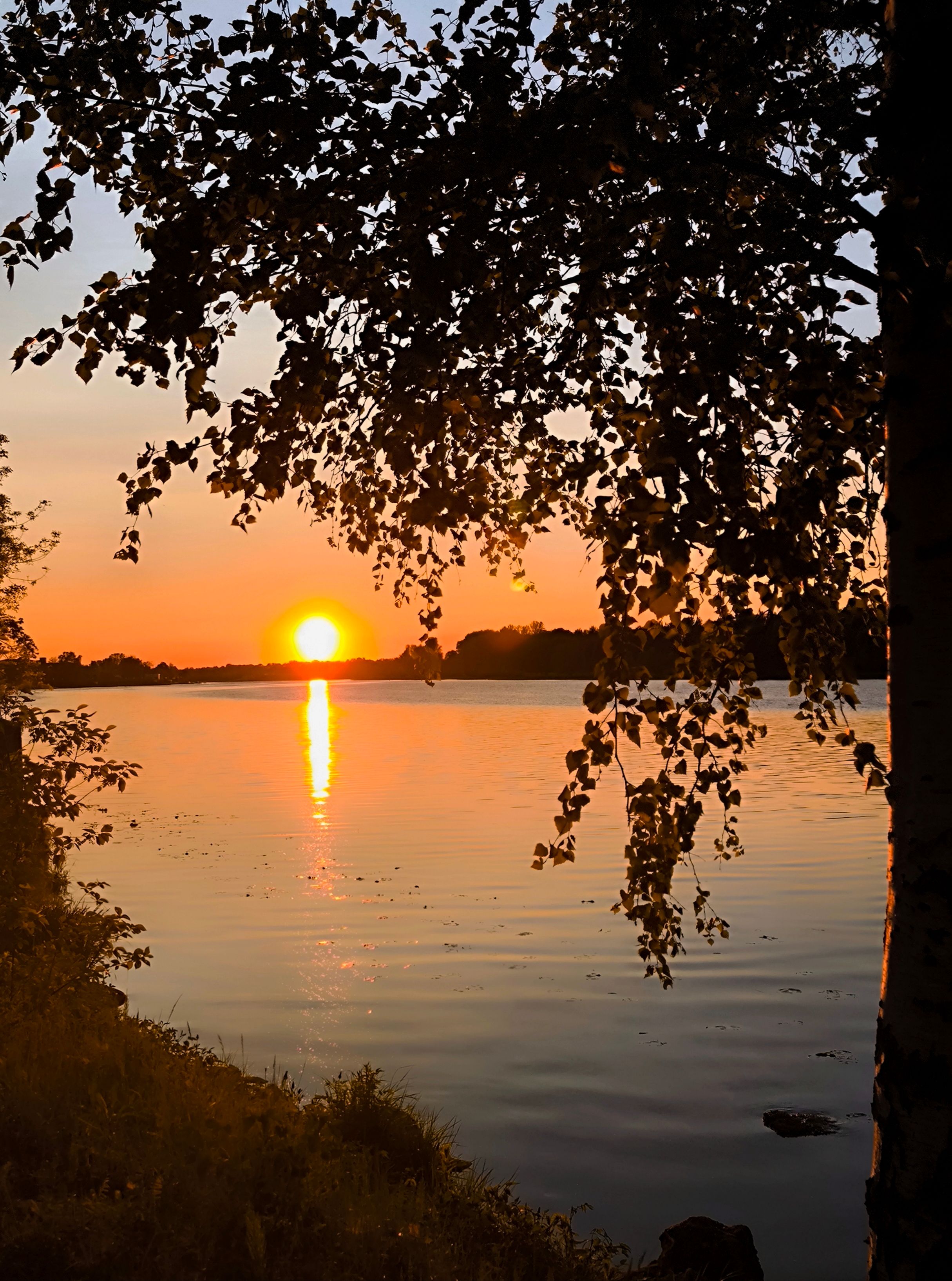 Loojang Pärnu jõel