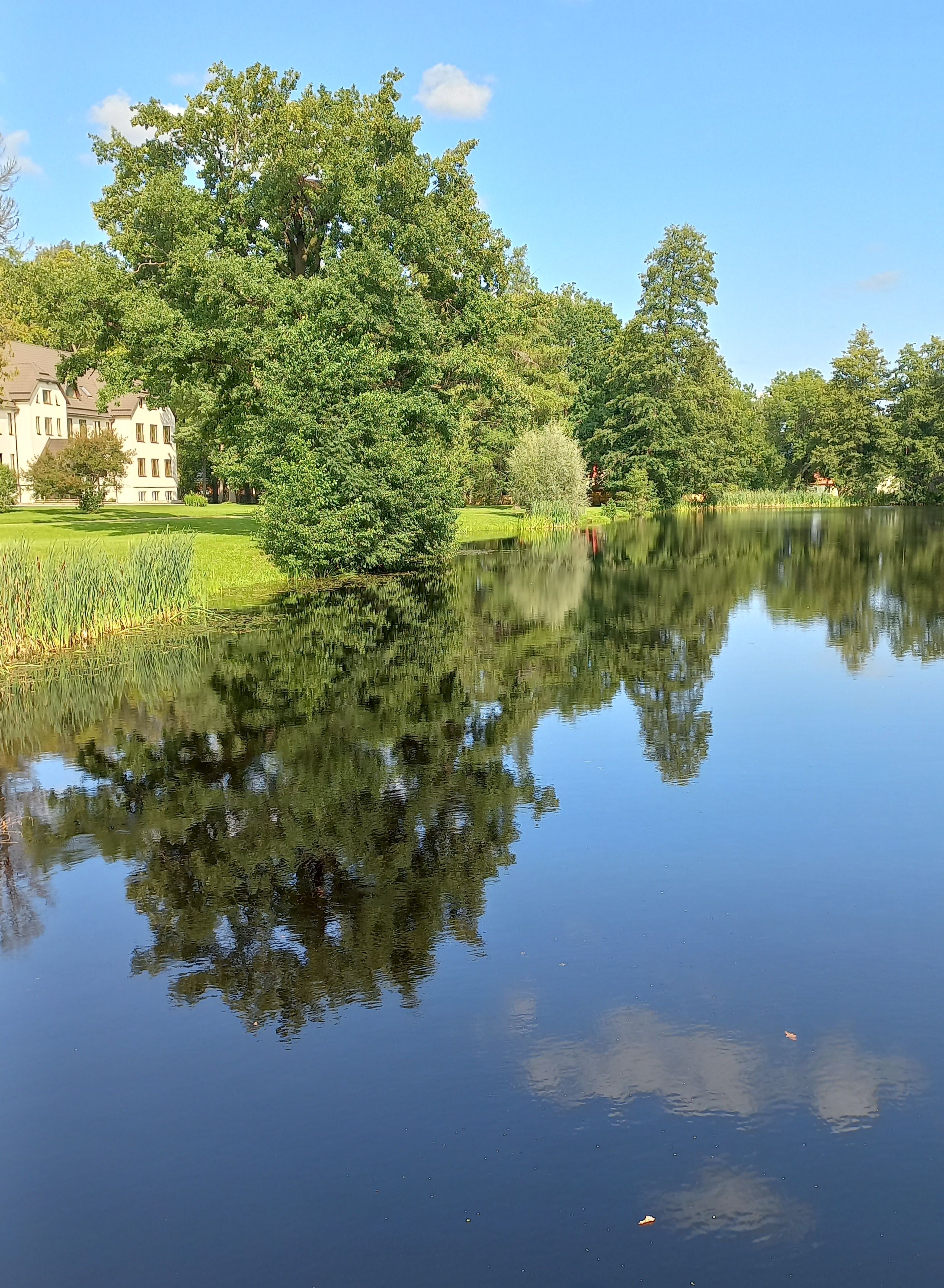 Ahja järv