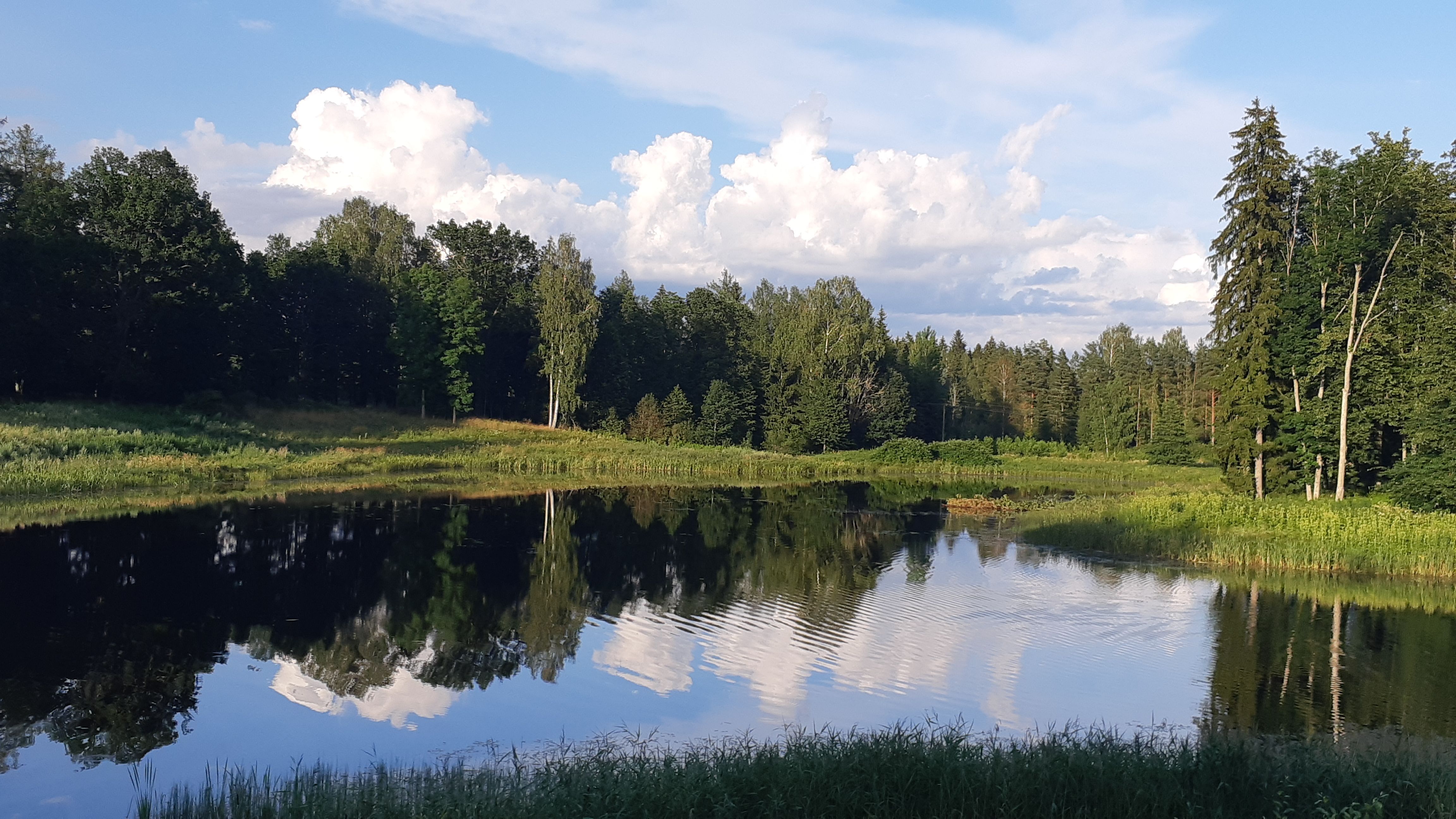 Järvepeegeldused