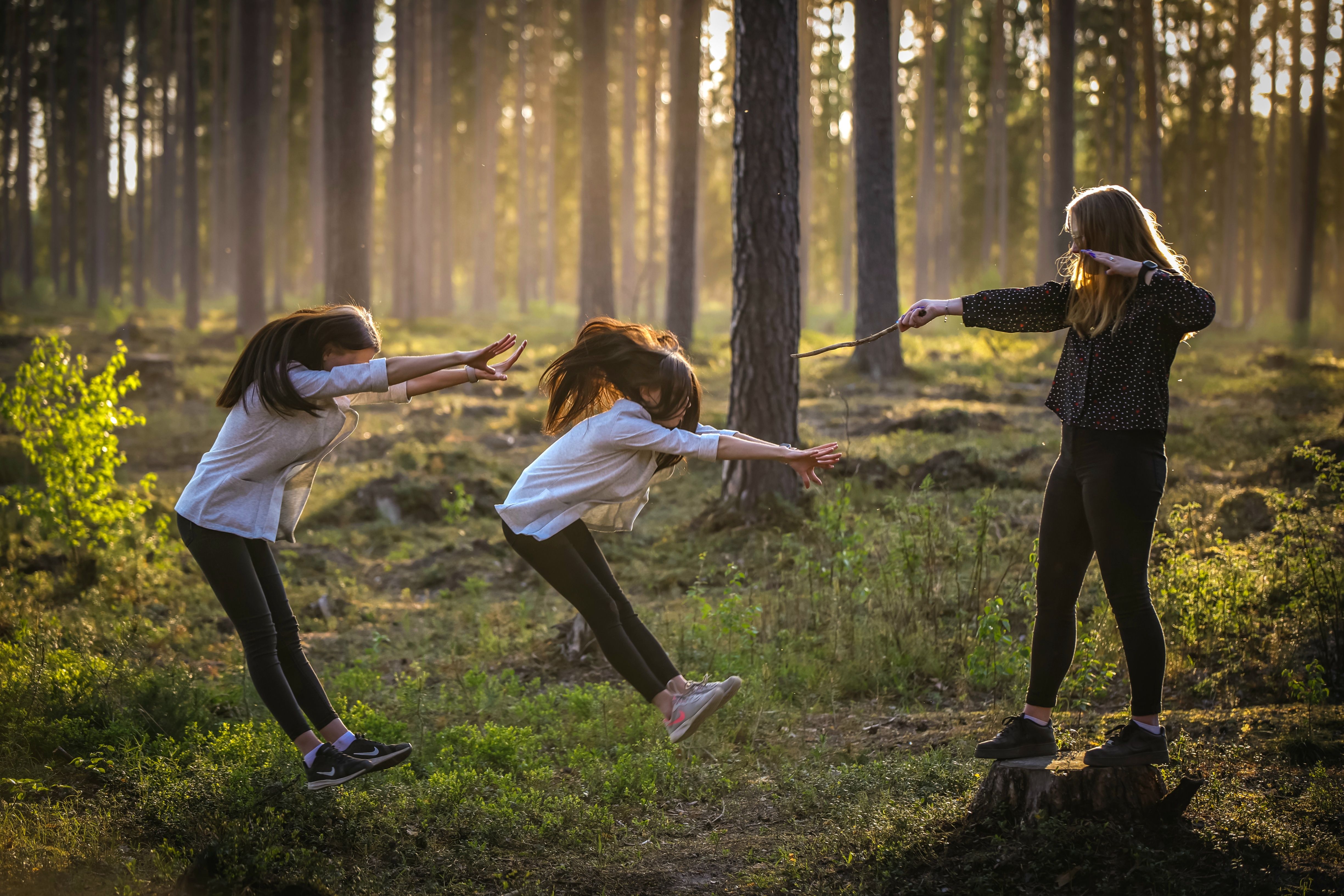 Võlukunst metsas