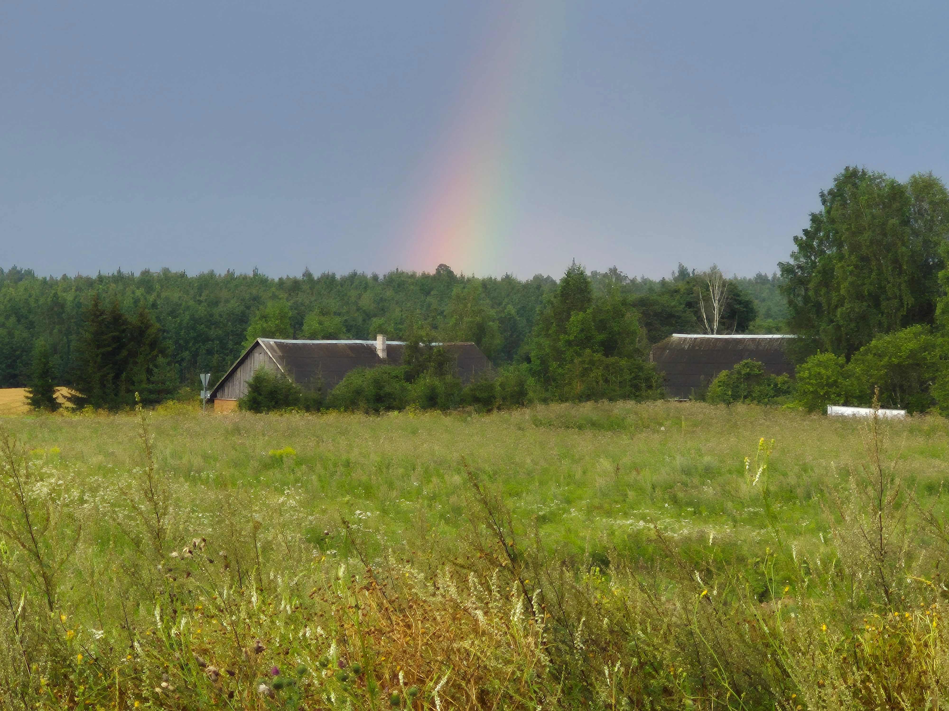 Suveõhtu
