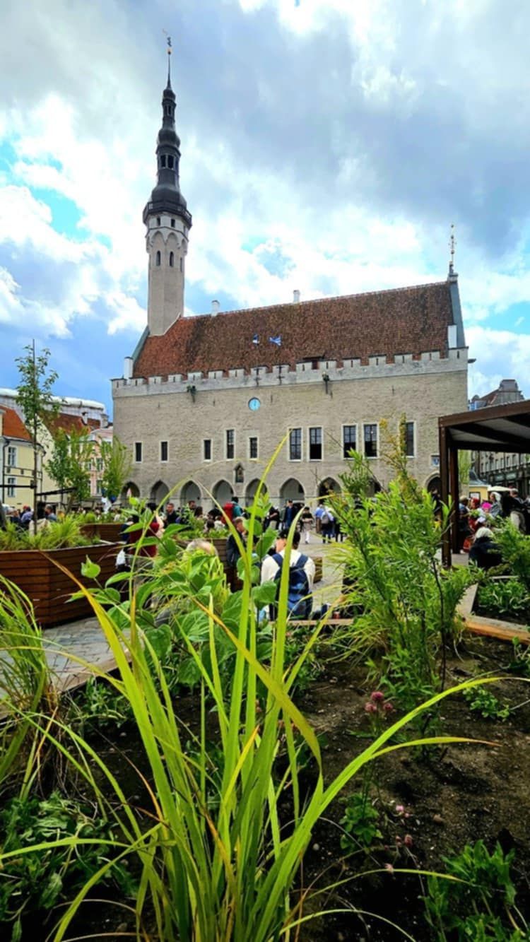 Tallinn Raekoja plats!